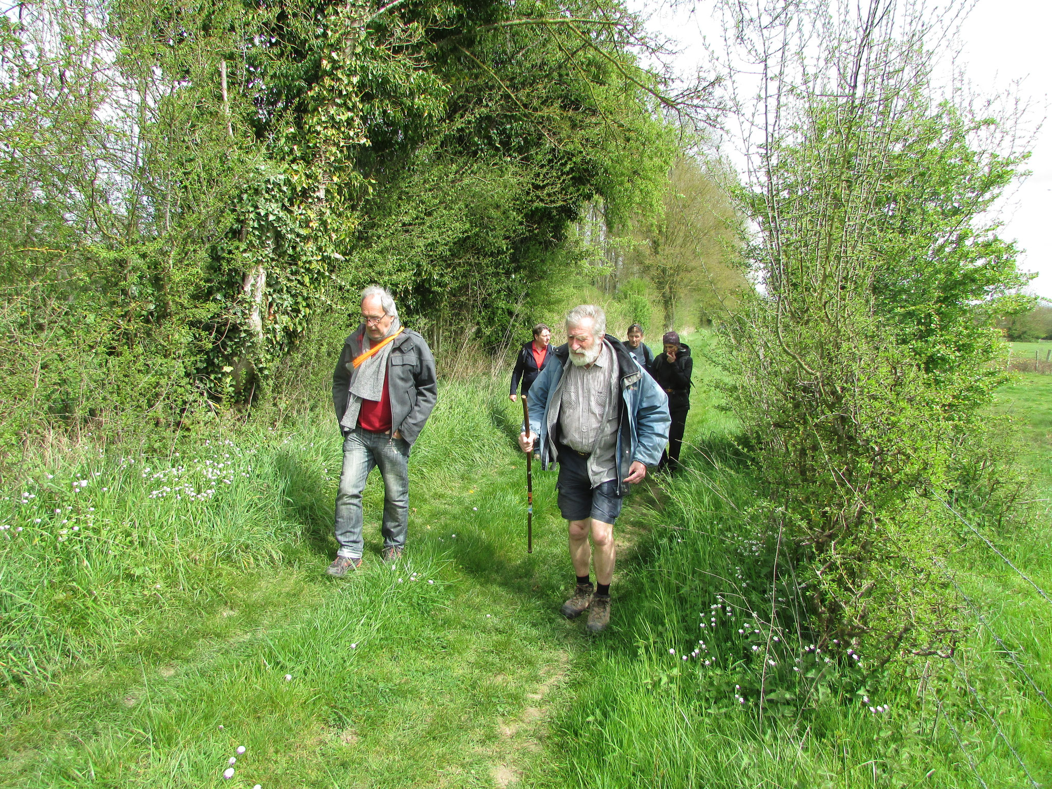 Rando nature autour de Blicourt - avril 2026