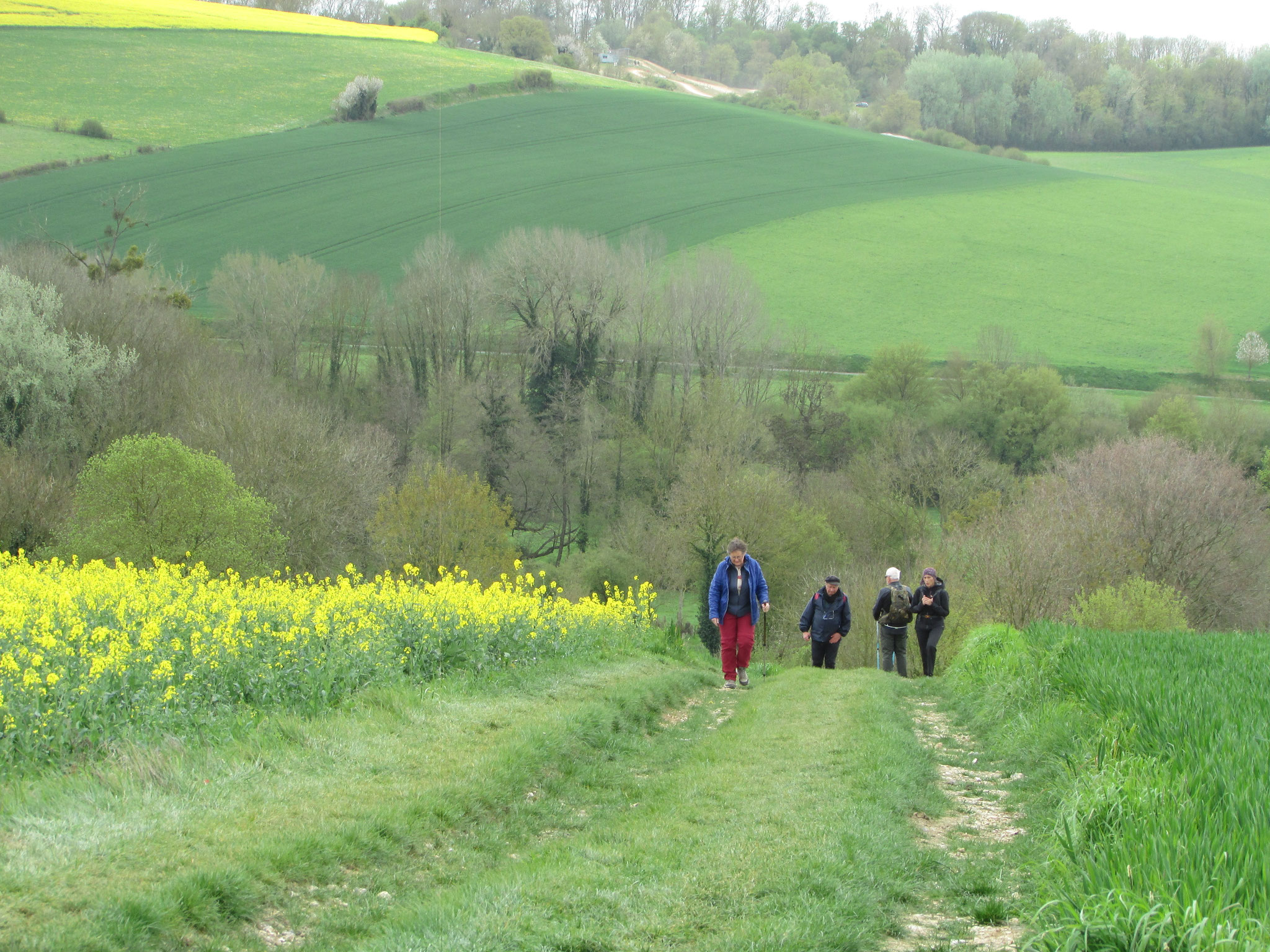Rando nature autour de Blicourt - avril 2026