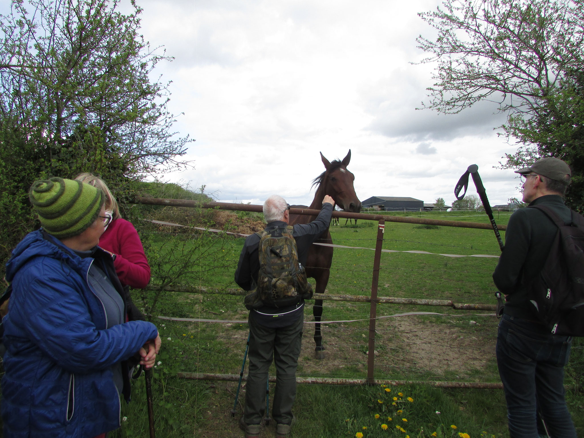 Rando nature autour de Blicourt - avril 2026