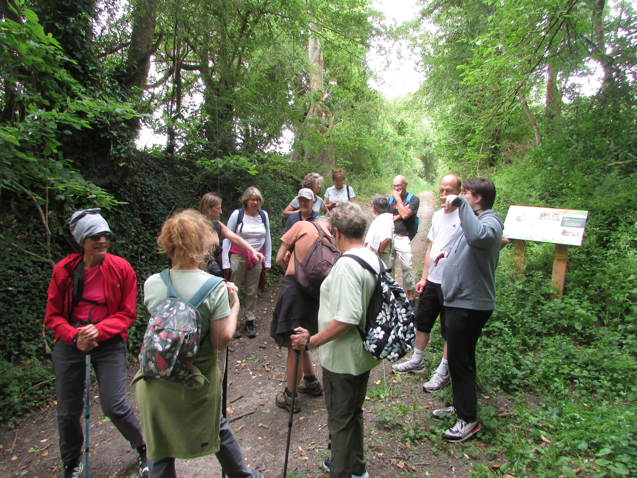 rando nature autour de St Germer de Fly - mai 2026
