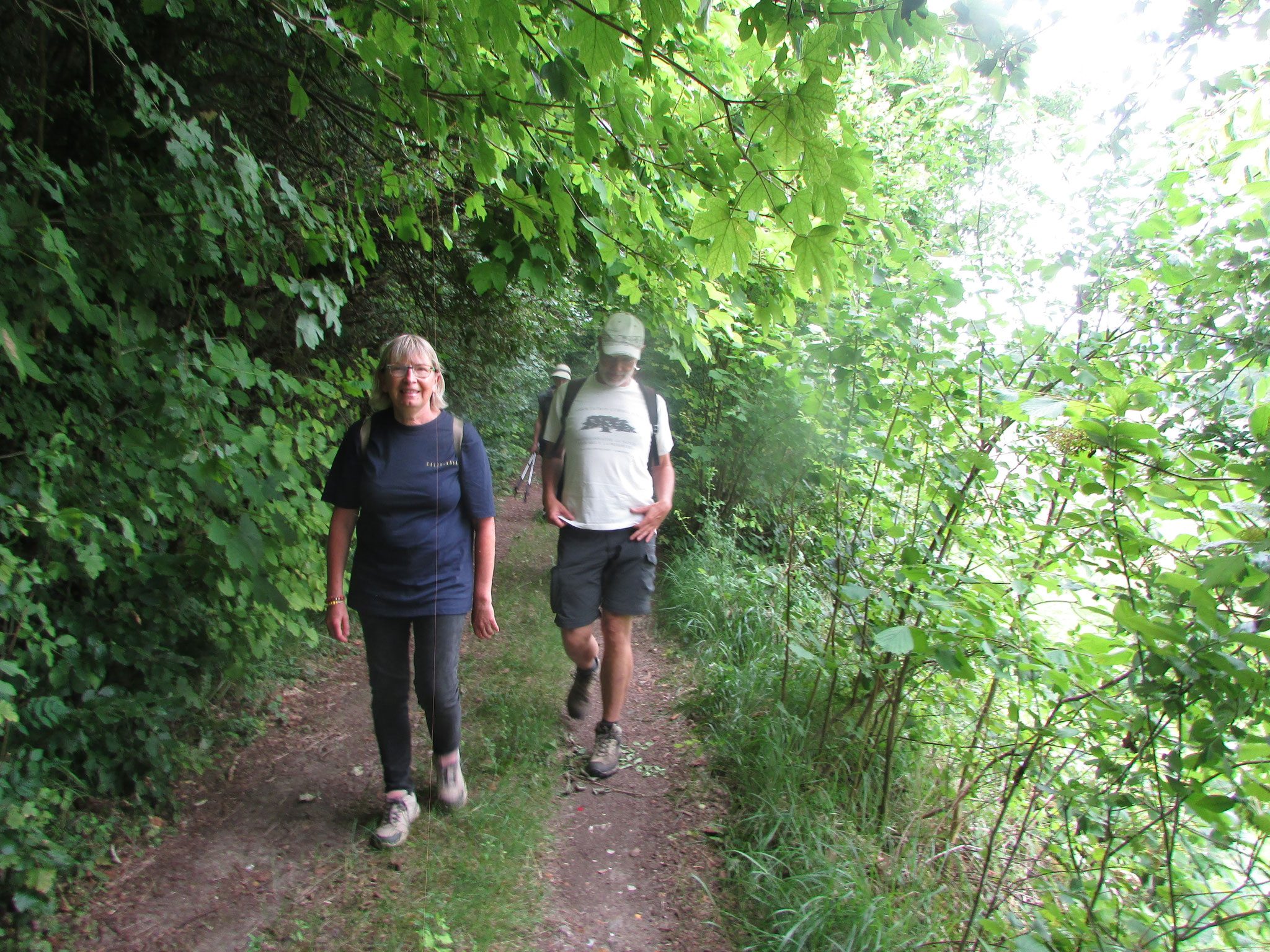 Randonnée nature autour du Vauroux - juin 2025
