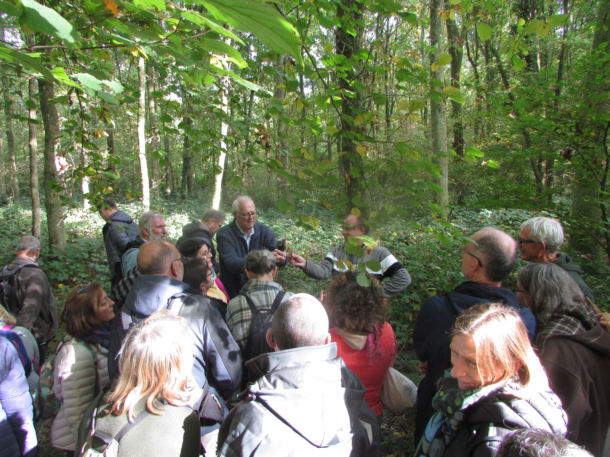 Tout sur les champignons - octobre 2025