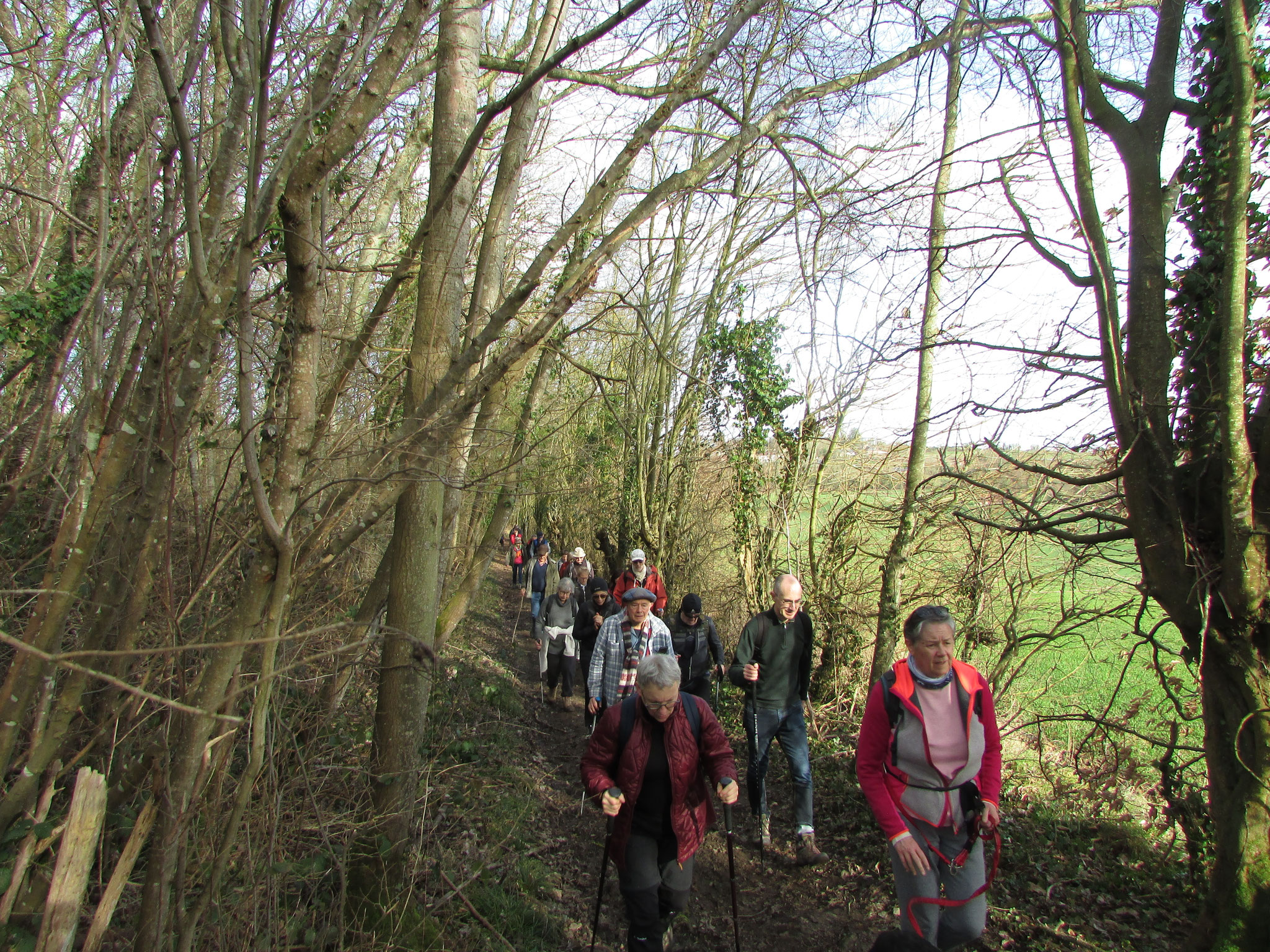 Rando nature autour de Gerberoy - février 2026