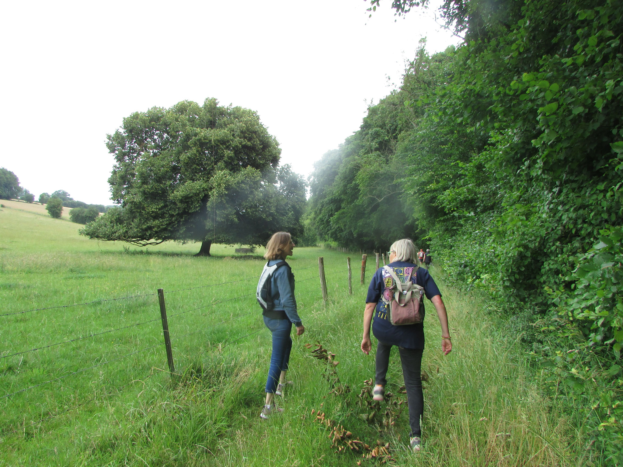 randonnée Nature autour du Vauroux - juin 2025