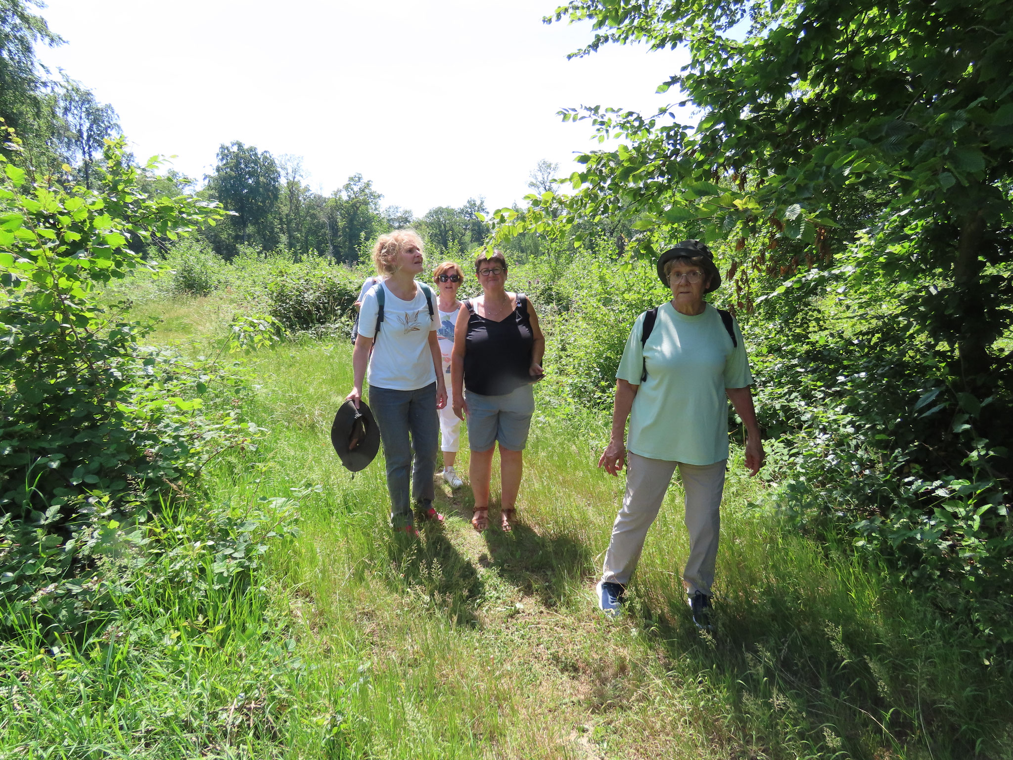 A la découverte de la forêt - juin 2026