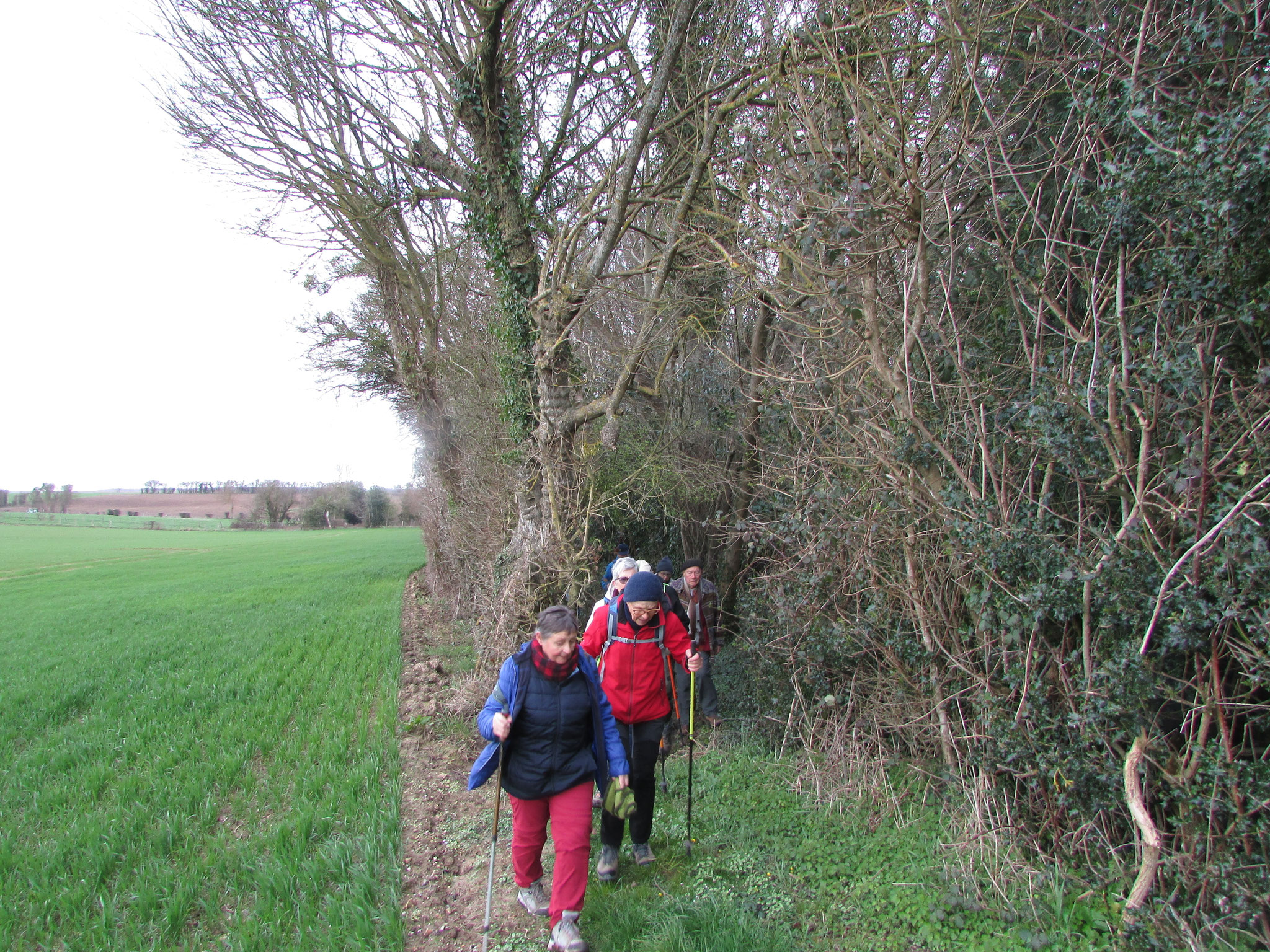 Rando nature autour de Roy Boissy - mars 2026
