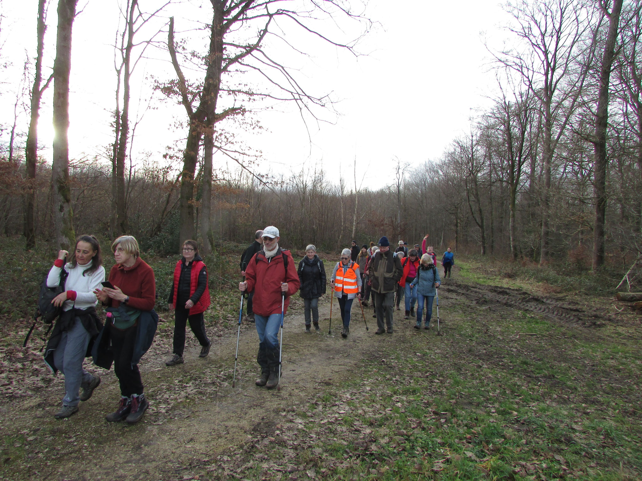 Rando nature autour de Gerberoy - février 2026