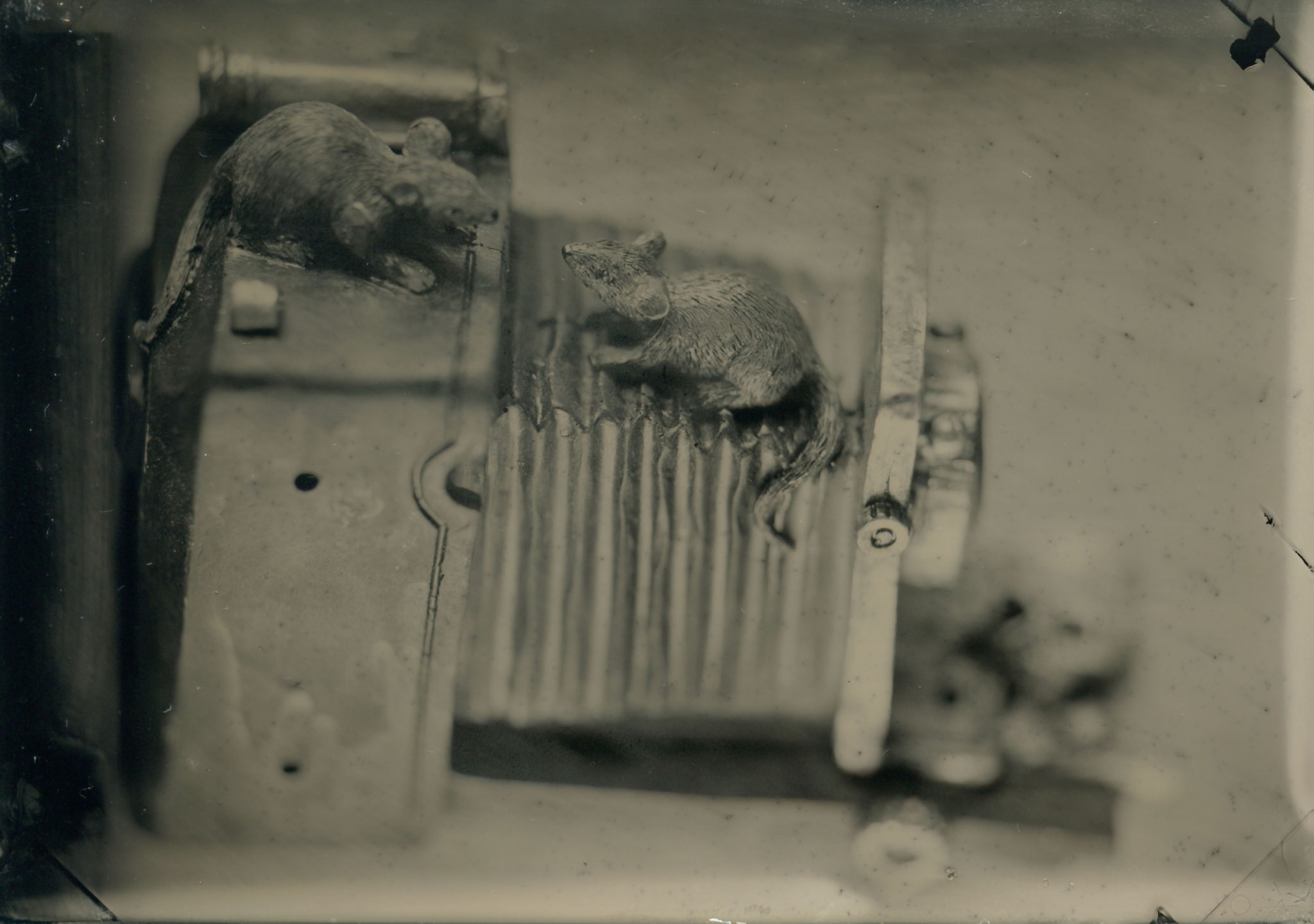 camera mice 2024