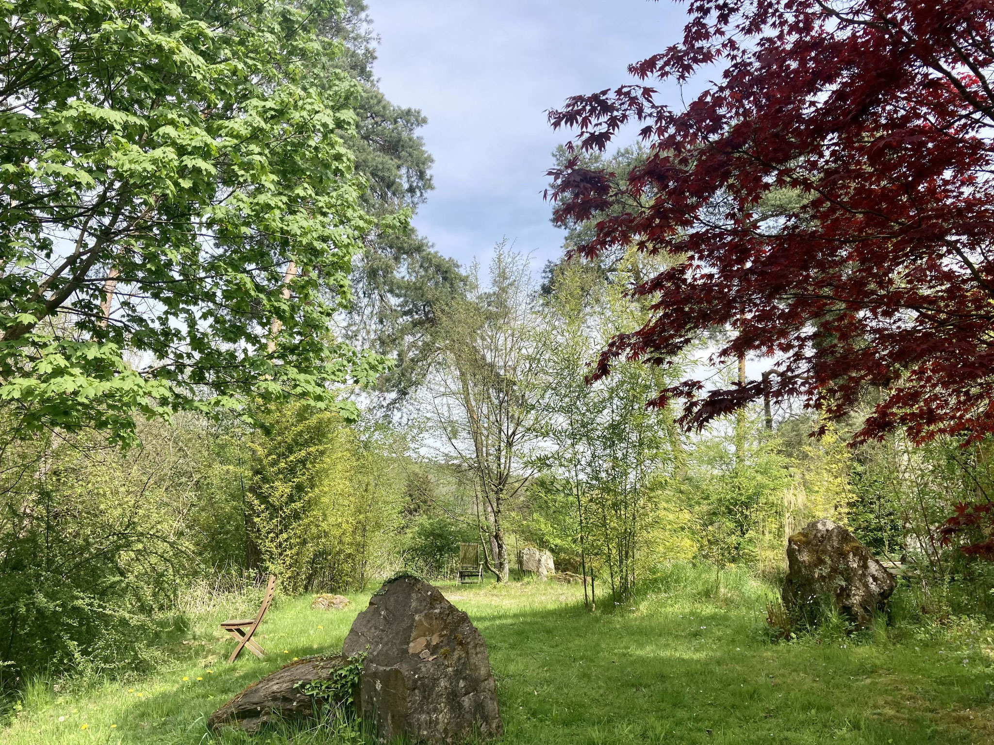 Bäume im Garten des Seminarzentrums Grube Louise im Westerwald