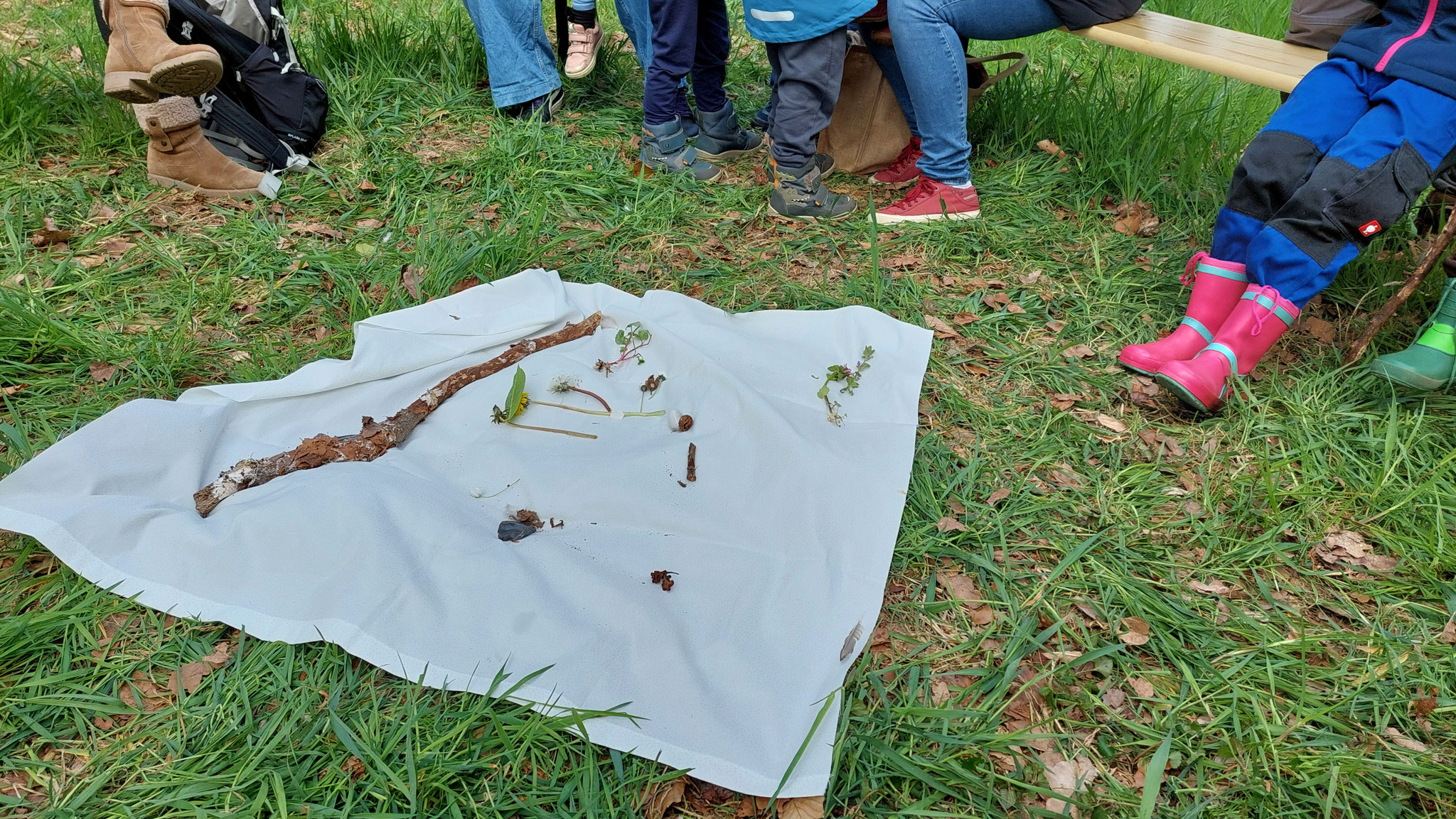 Begutachtung der gefundenen Schätze aus der Natur