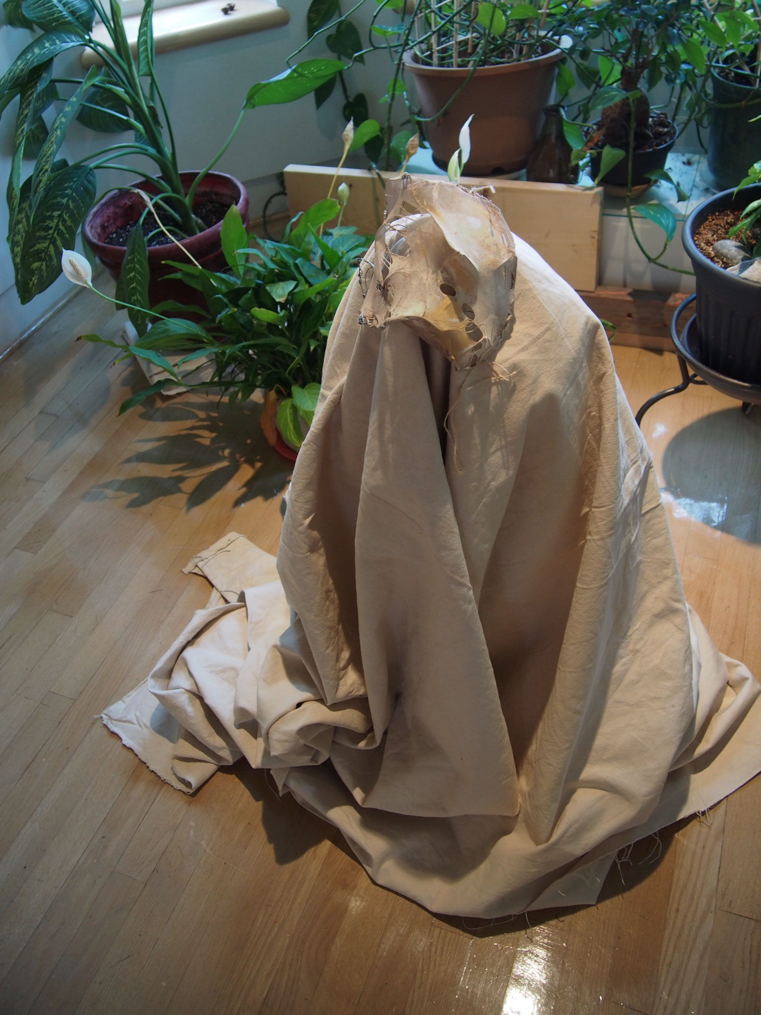 Finding Form Gallery Arcturus The Daily News