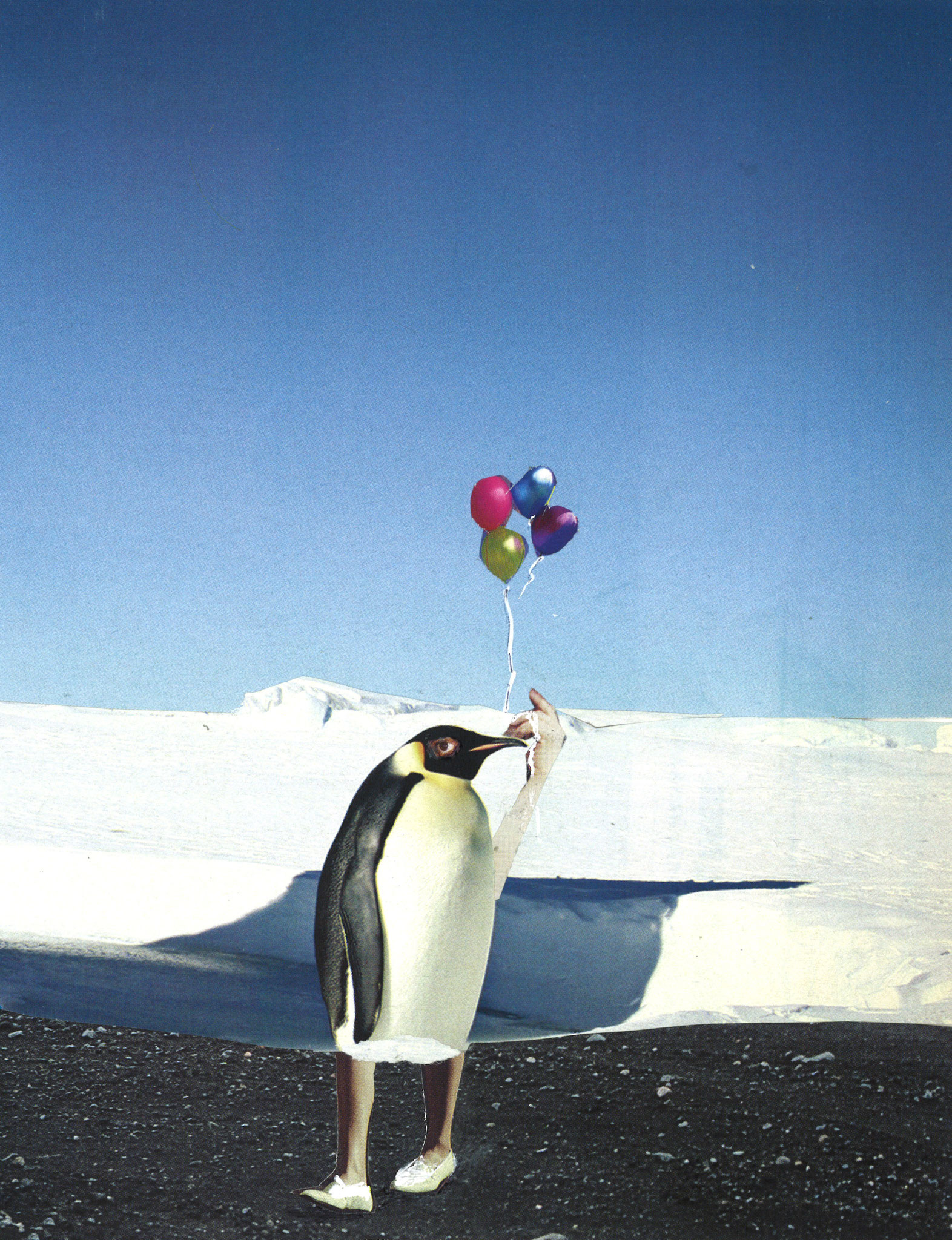 Collage by deborah harris