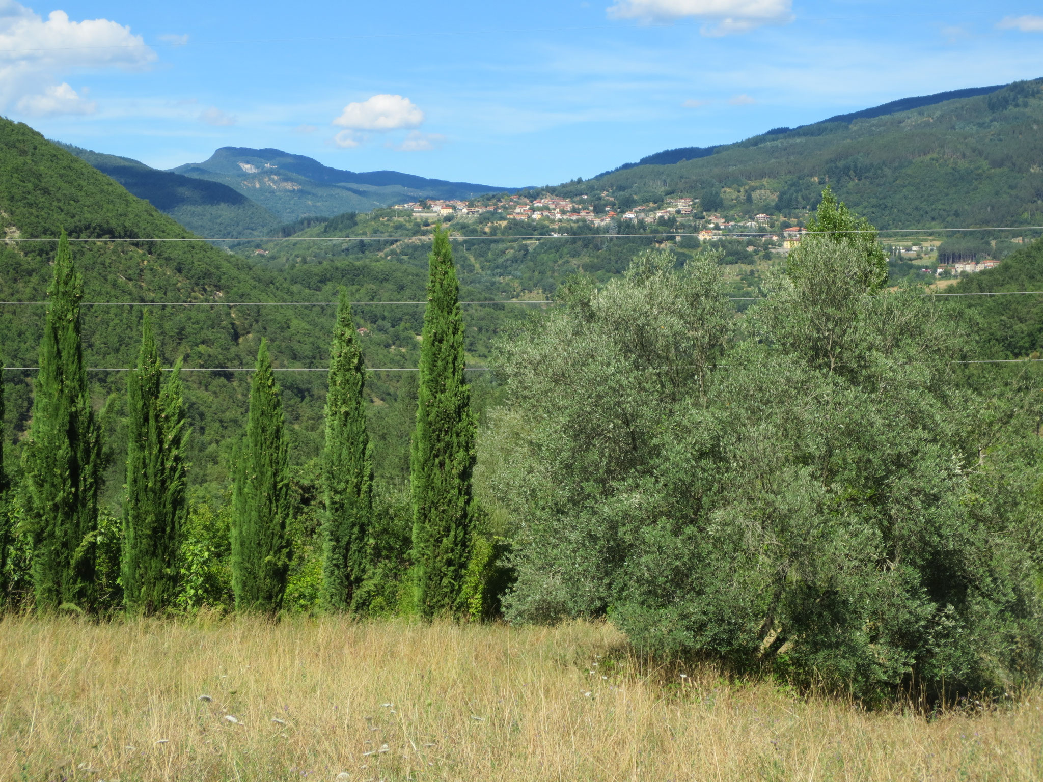 Unser Ferienanwesen: Villa Casale di Renata, Loc. La Casa (Rassina) - 30'000 qm Umschwung (Grundstück)