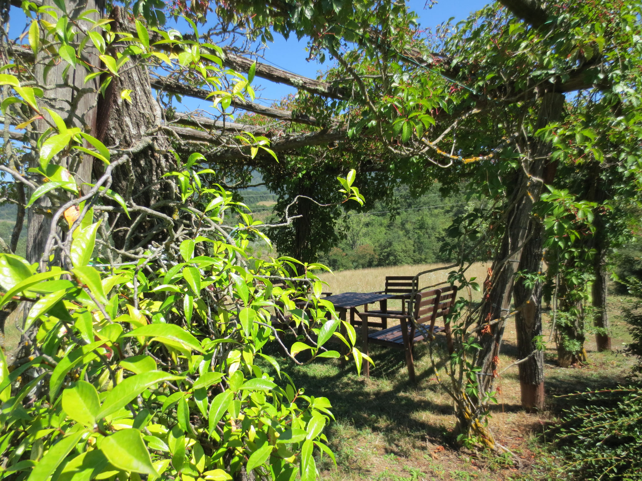 Unser Ferienanwesen: Villa Casale di Renata, Loc. La Casa (Rassina) - Pergola beim Swimming-Pool
