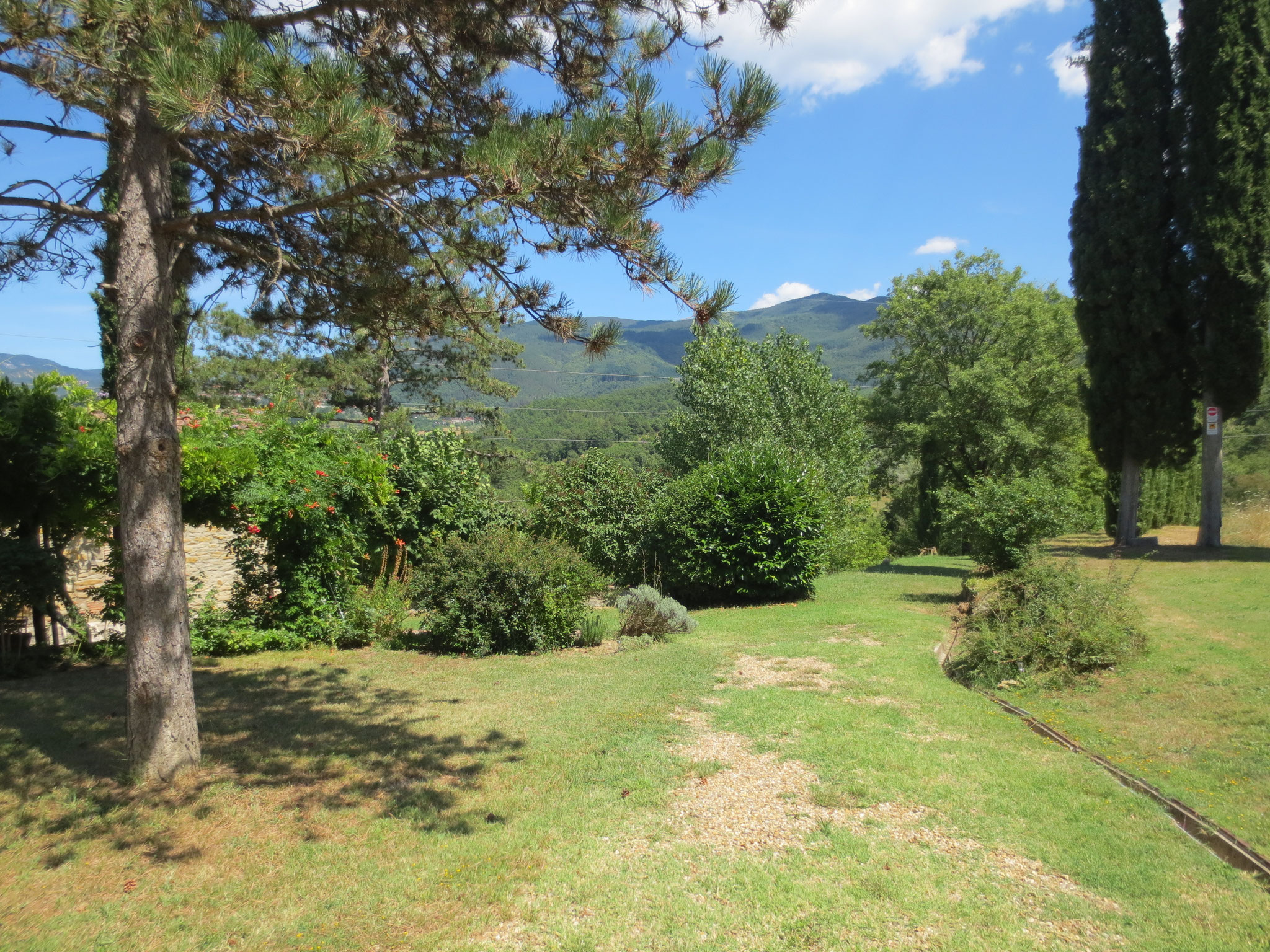 Unser Ferienanwesen: Villa Casale di Renata, Loc. La Casa (Rassina) - 30'000 qm Umschwung (Grundstück)