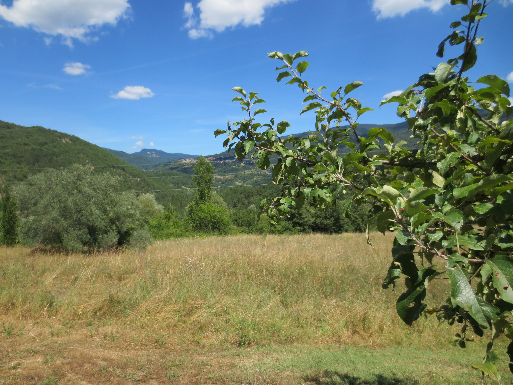 Unser Ferienanwesen: Villa Casale di Renata, Loc. La Casa (Rassina) - 30'000 qm Umschwung (Grundstück)