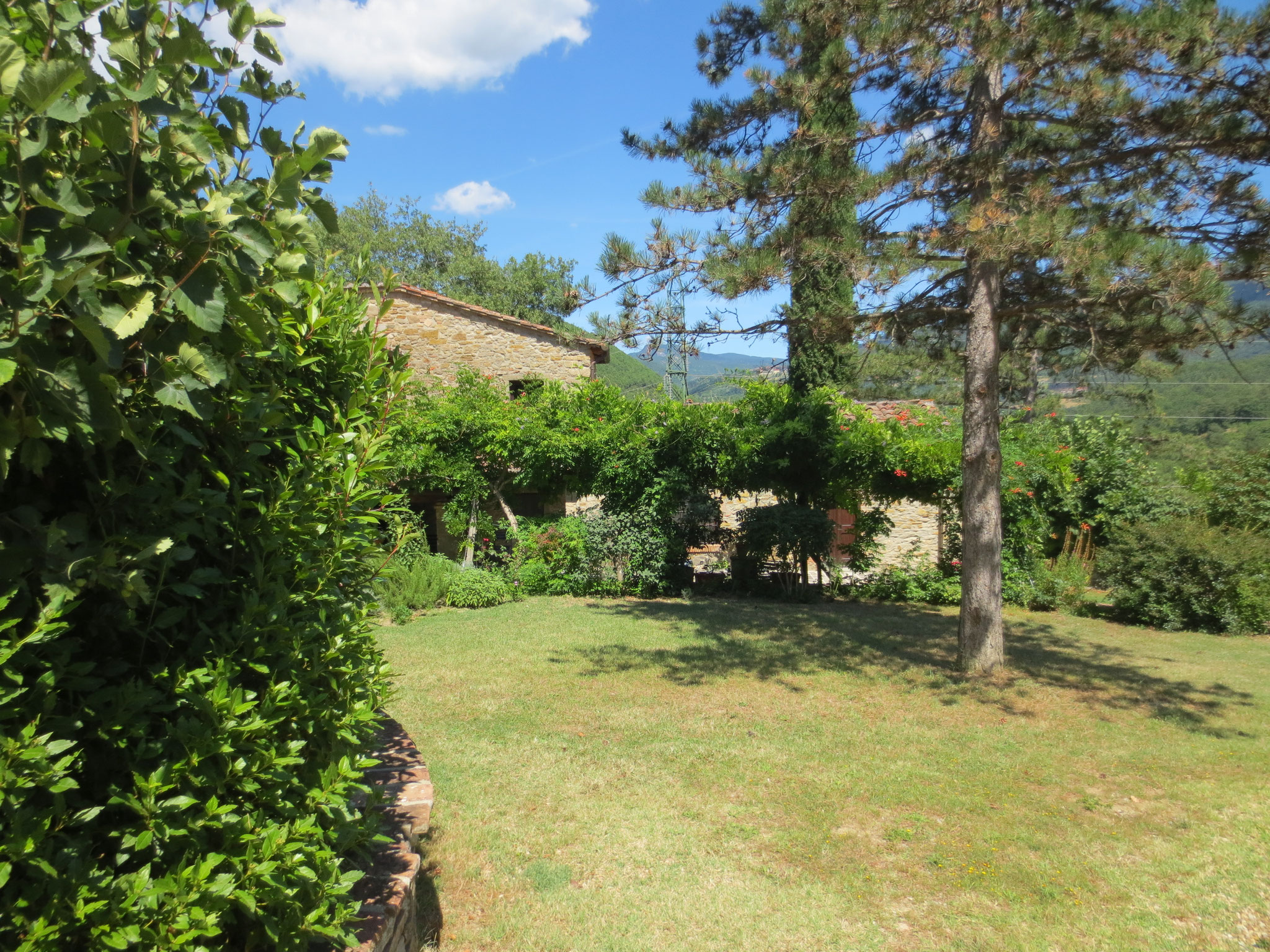 Unser Ferienanwesen: Villa Casale di Renata, Loc. La Casa (Rassina) - 30'000 qm Umschwung (Grundstück)