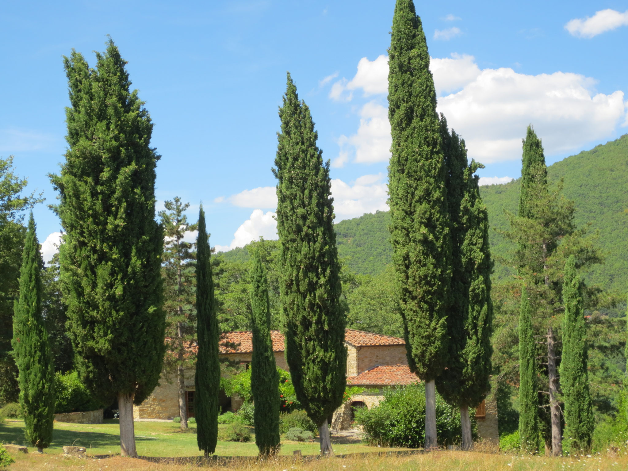Unser Ferienanwesen: Villa Casale di Renata, Loc. La Casa (Rassina)
