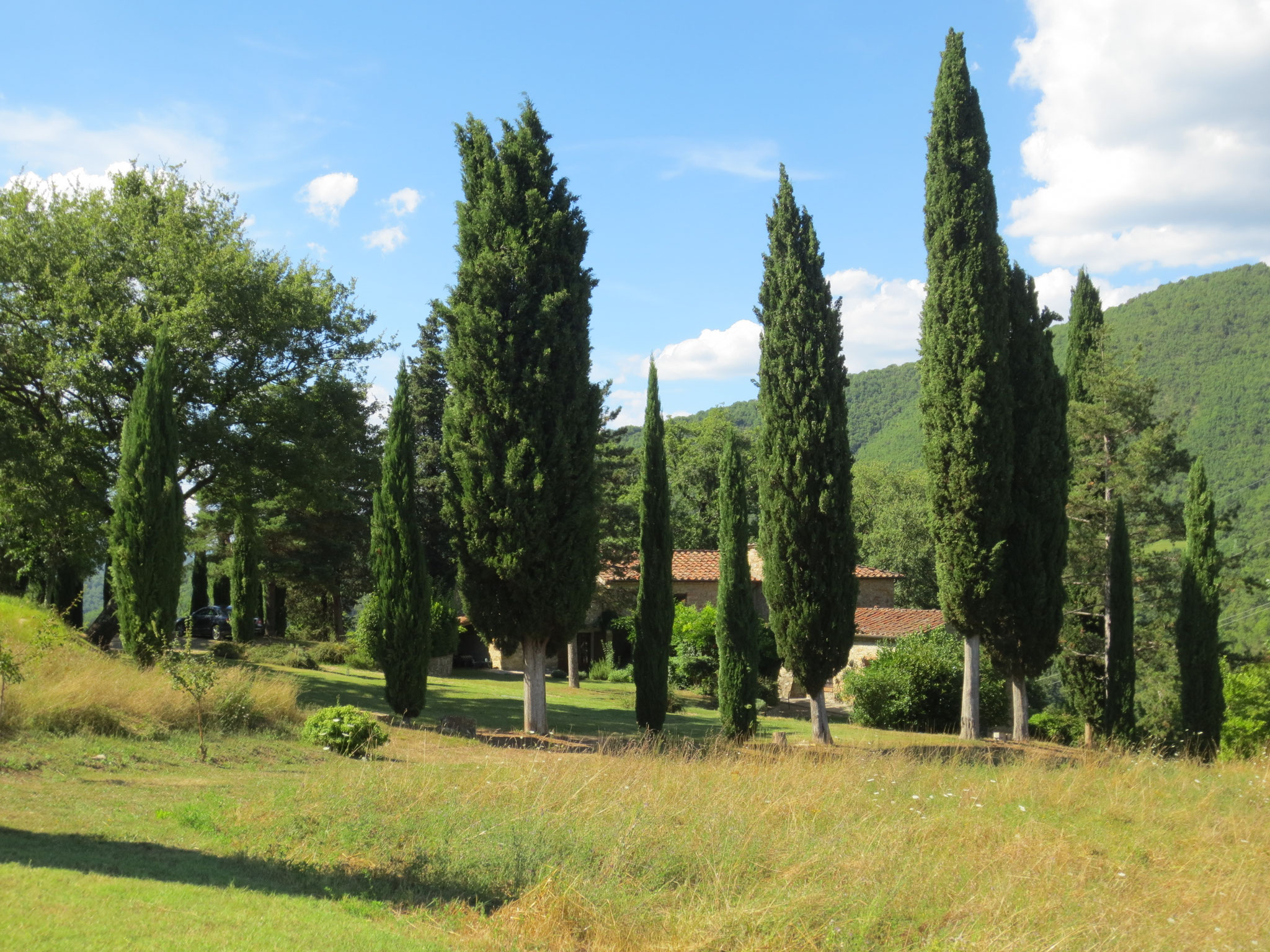 Unser Ferienanwesen: Villa Casale di Renata, Loc. La Casa (Rassina)