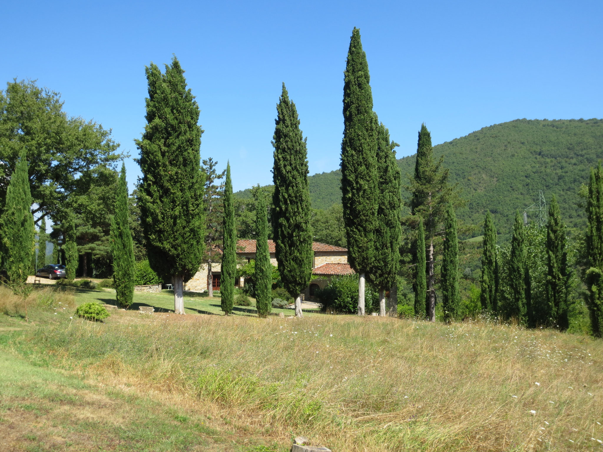 Unser Ferienanwesen: Villa Casale di Renata, Loc. La Casa (Rassina)