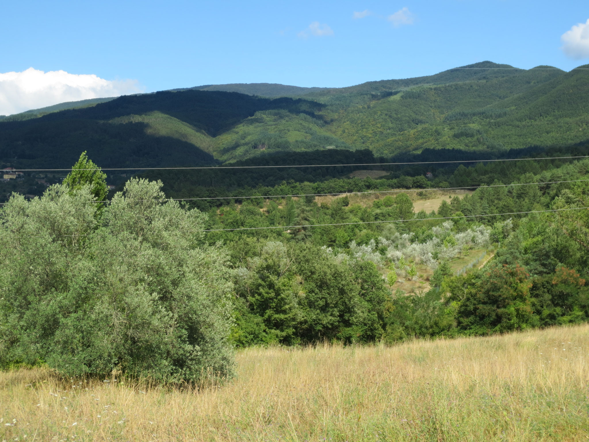 Unser Ferienanwesen: Villa Casale di Renata, Loc. La Casa (Rassina) - 30'000 qm Umschwung (Grundstück)