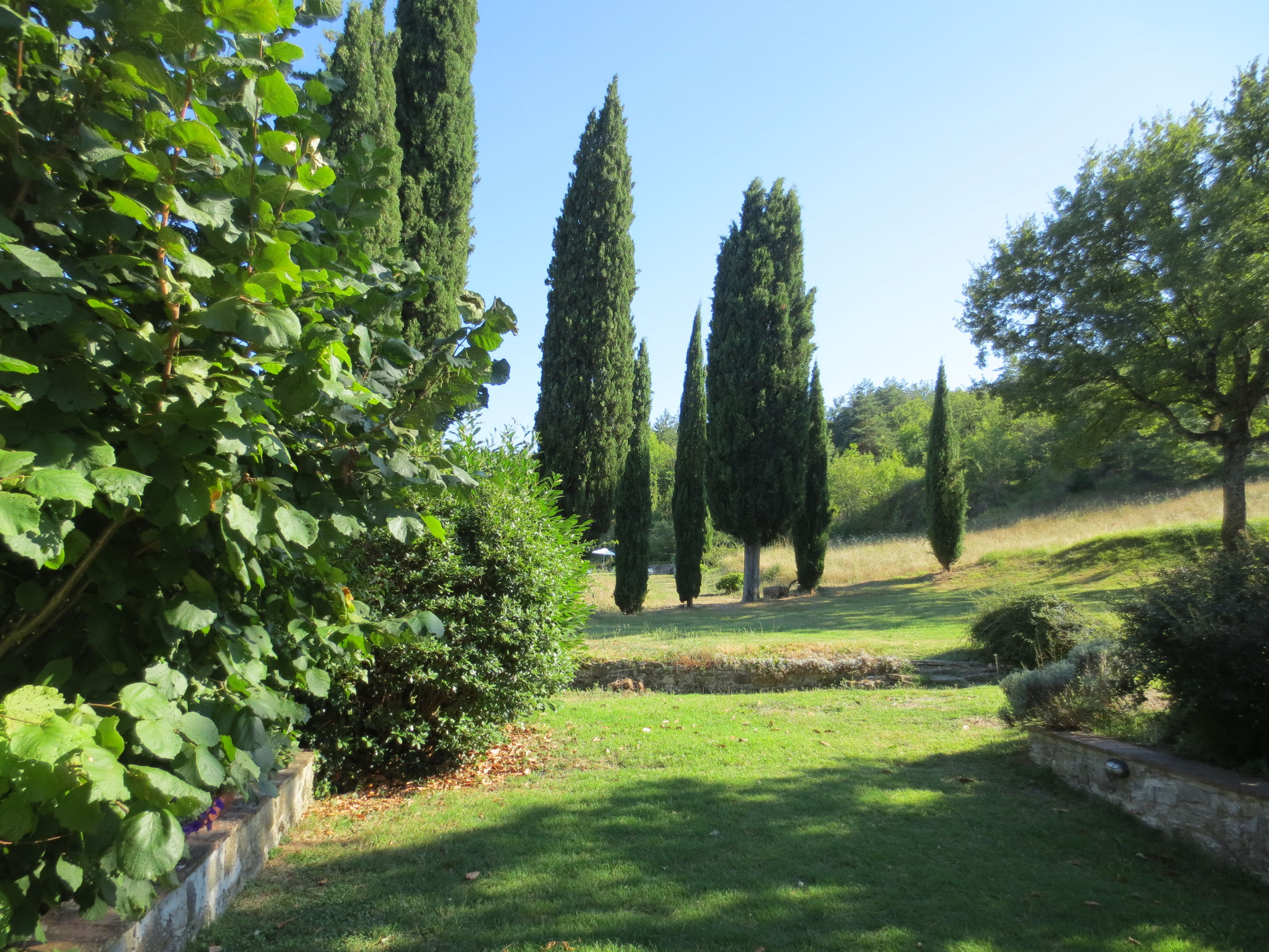 Unser Ferienanwesen: Villa Casale di Renata, Loc. La Casa (Rassina) - 30'000 qm Umschwung (Grundstück)