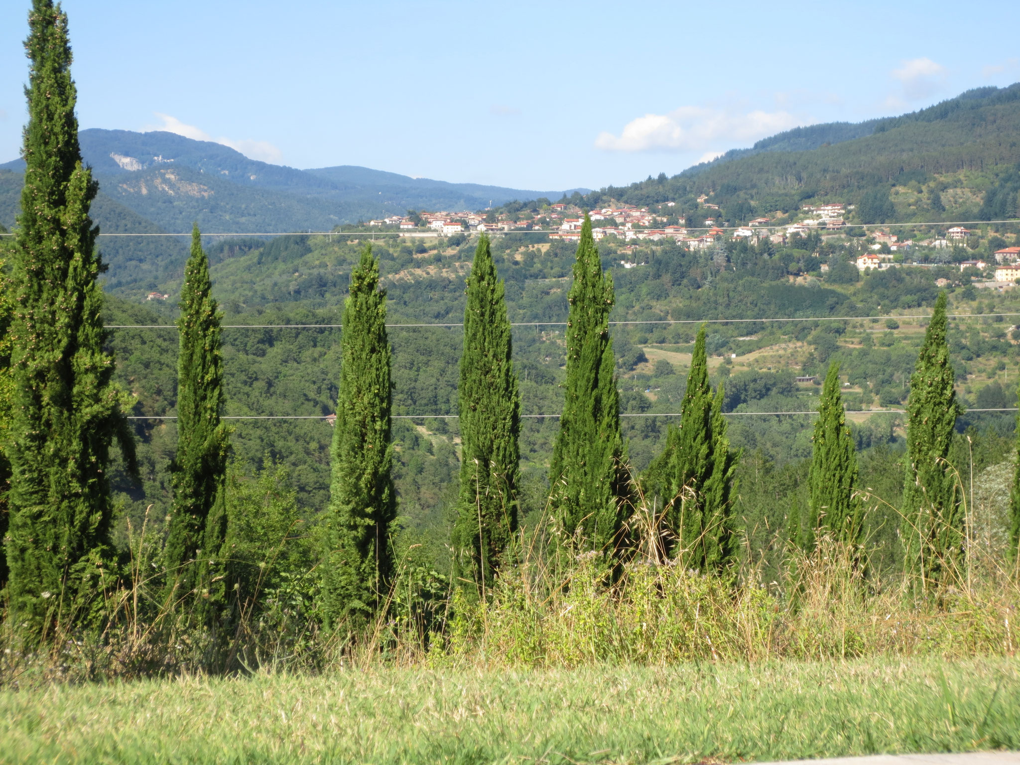Unser Ferienanwesen: Villa Casale di Renata, Loc. La Casa (Rassina) - 30'000 qm Umschwung (Grundstück)