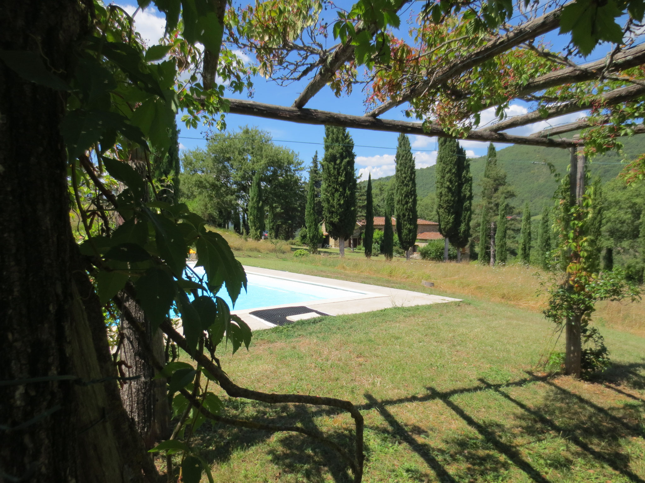 Unser Ferienanwesen: Villa Casale di Renata, Loc. La Casa (Rassina) - Pergola beim Swimmingpool