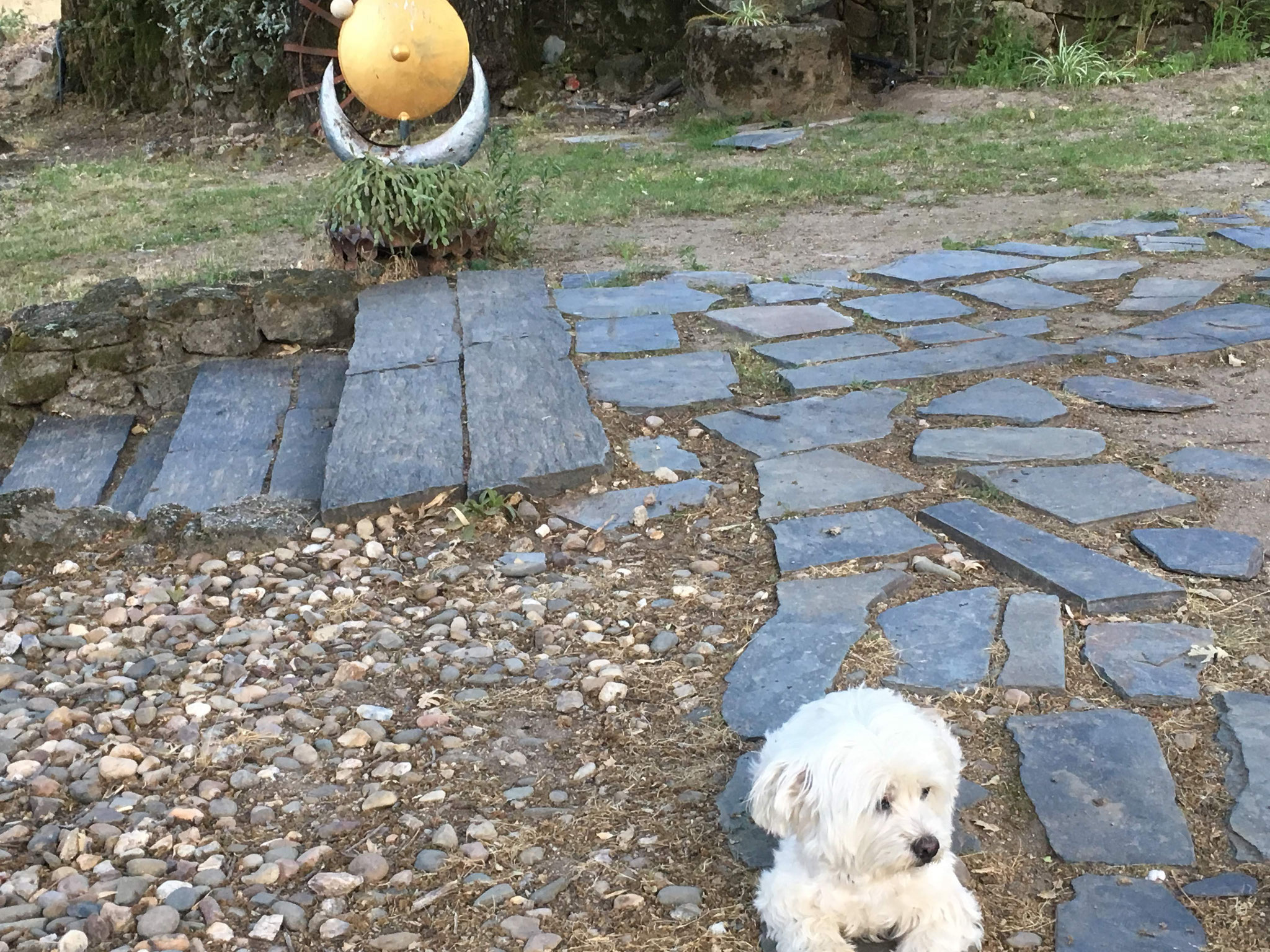 ピース
