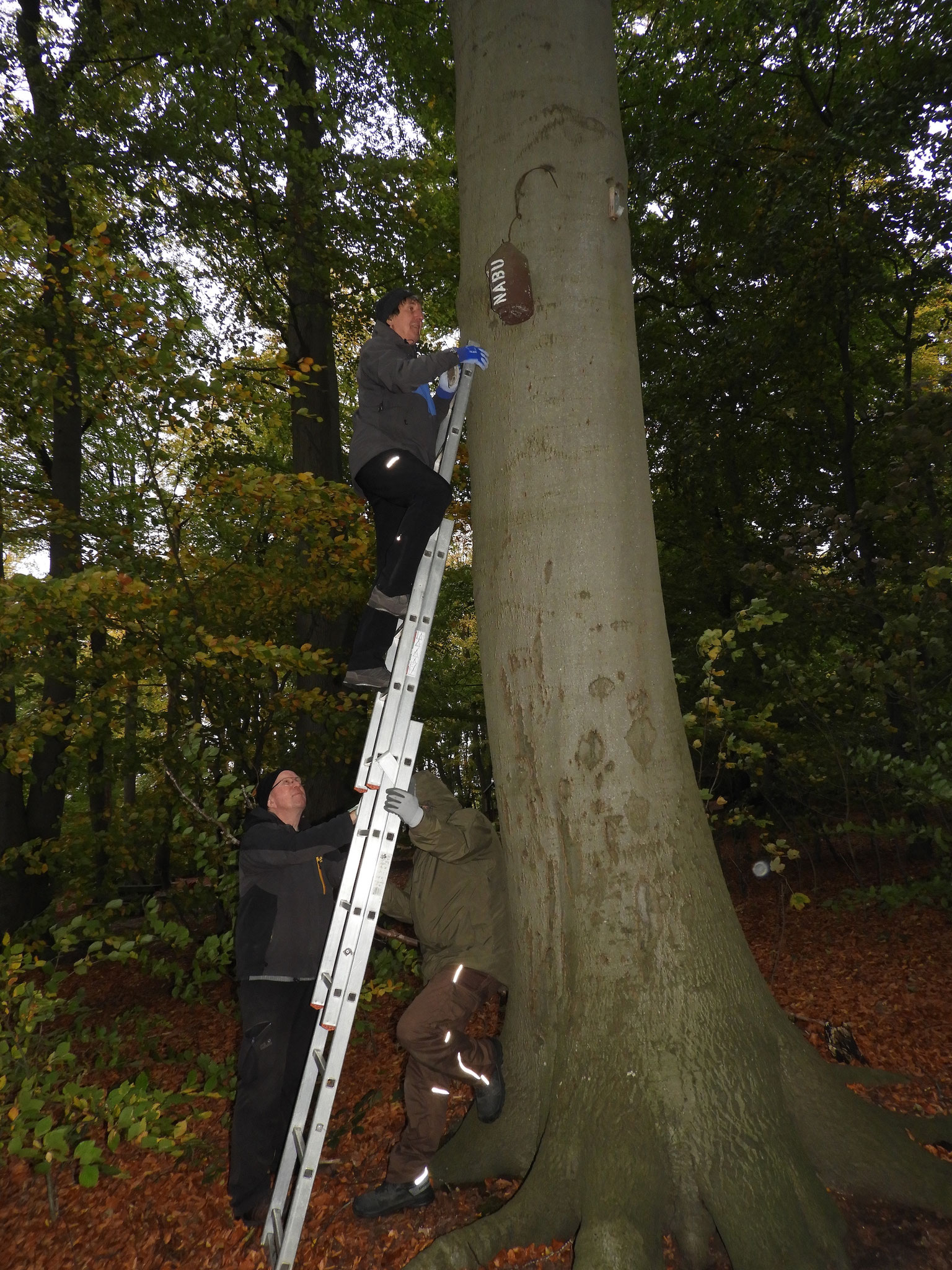 Kastenkontrolle im Riesebusch (Bild: Oliver Juhnke/NABU)
