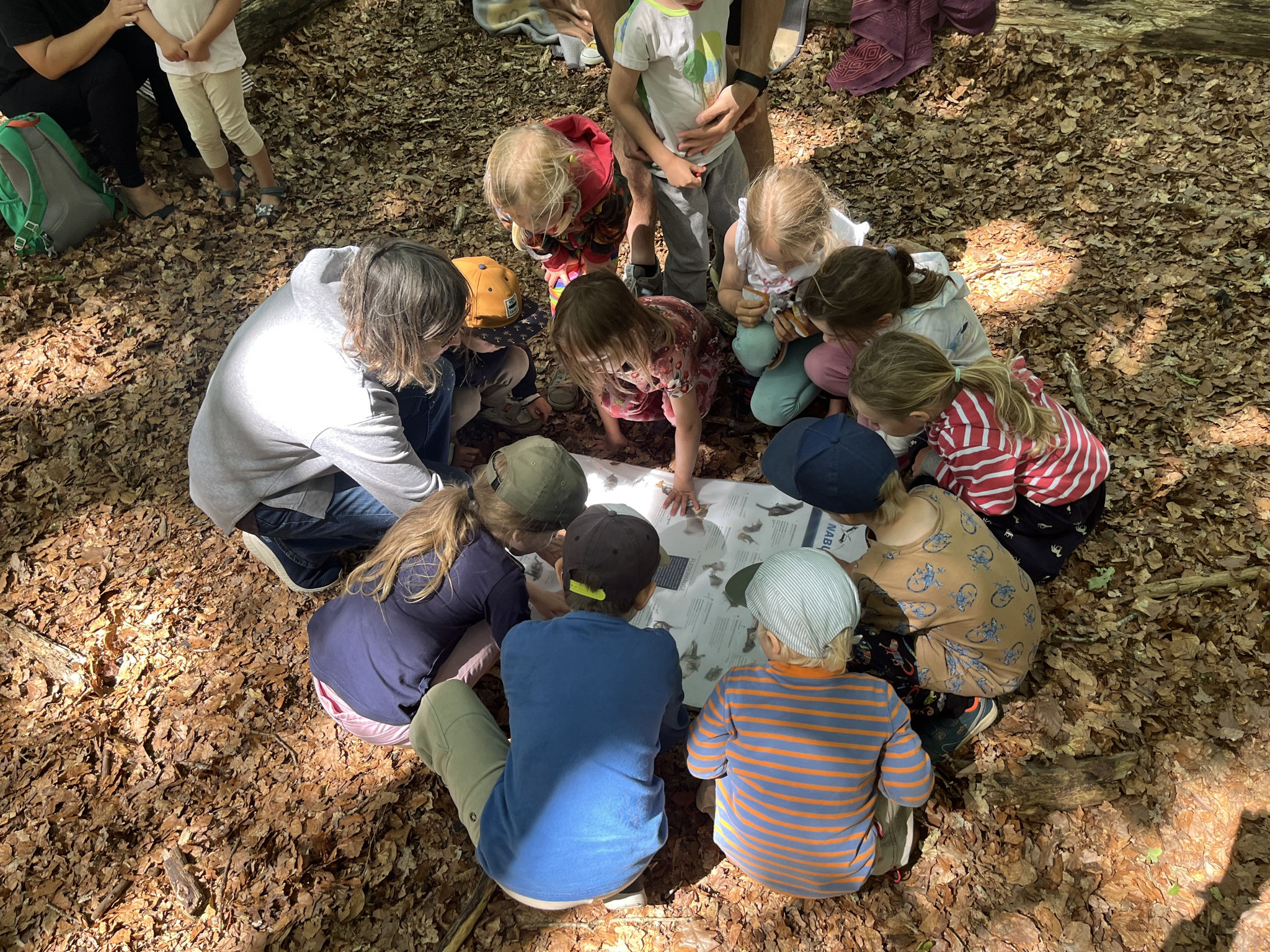Faszination beim Besuch von Anja Heidemann mit einem kleinen Vortrag über die Fledermäuse. Foto: Christina Martinovs