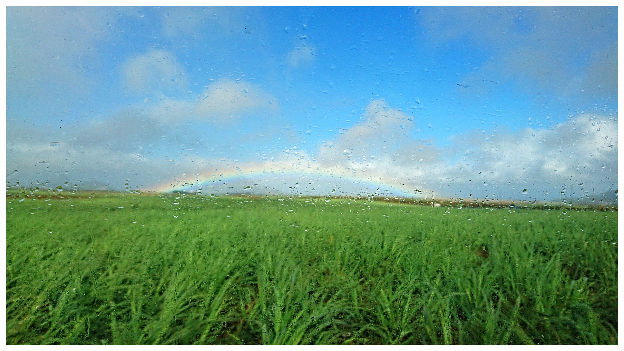 Nach dem Cyclon am anderen Ende der Insel wurden wir von einem Regenbogen begrüßt
