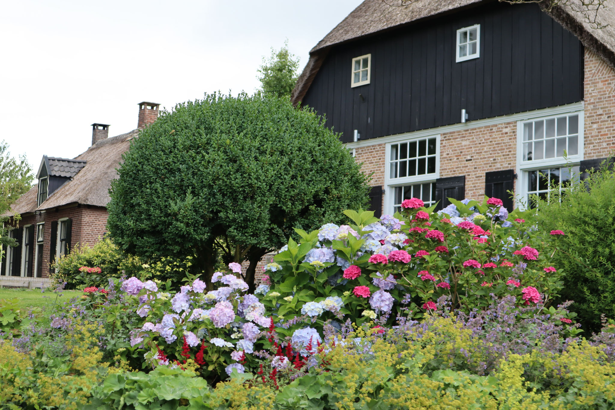 Giethoorn(ヒートホールン）アルバム