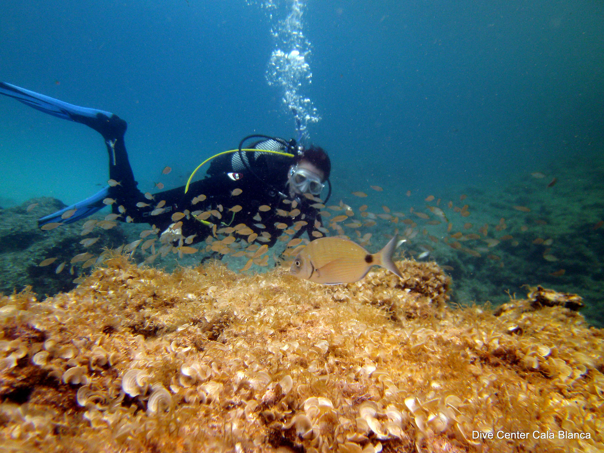 SSI Try Dive in Cala Blanca