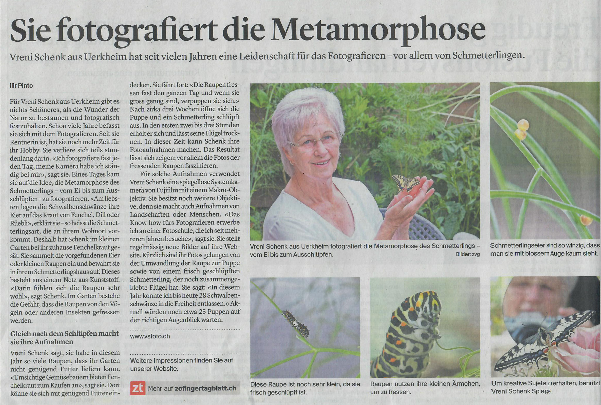 Zofinger Tagblatt 24.06.2022