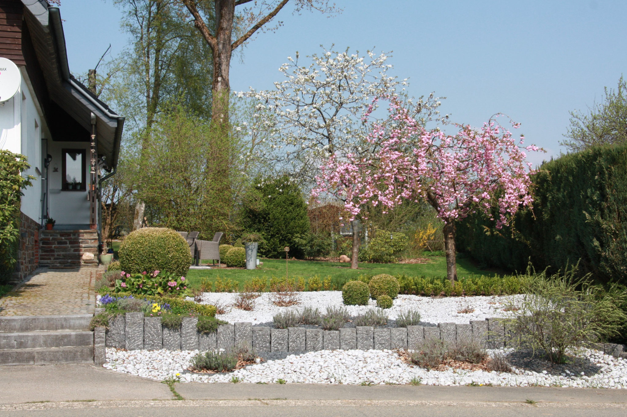 Le printemps en pleine floraison