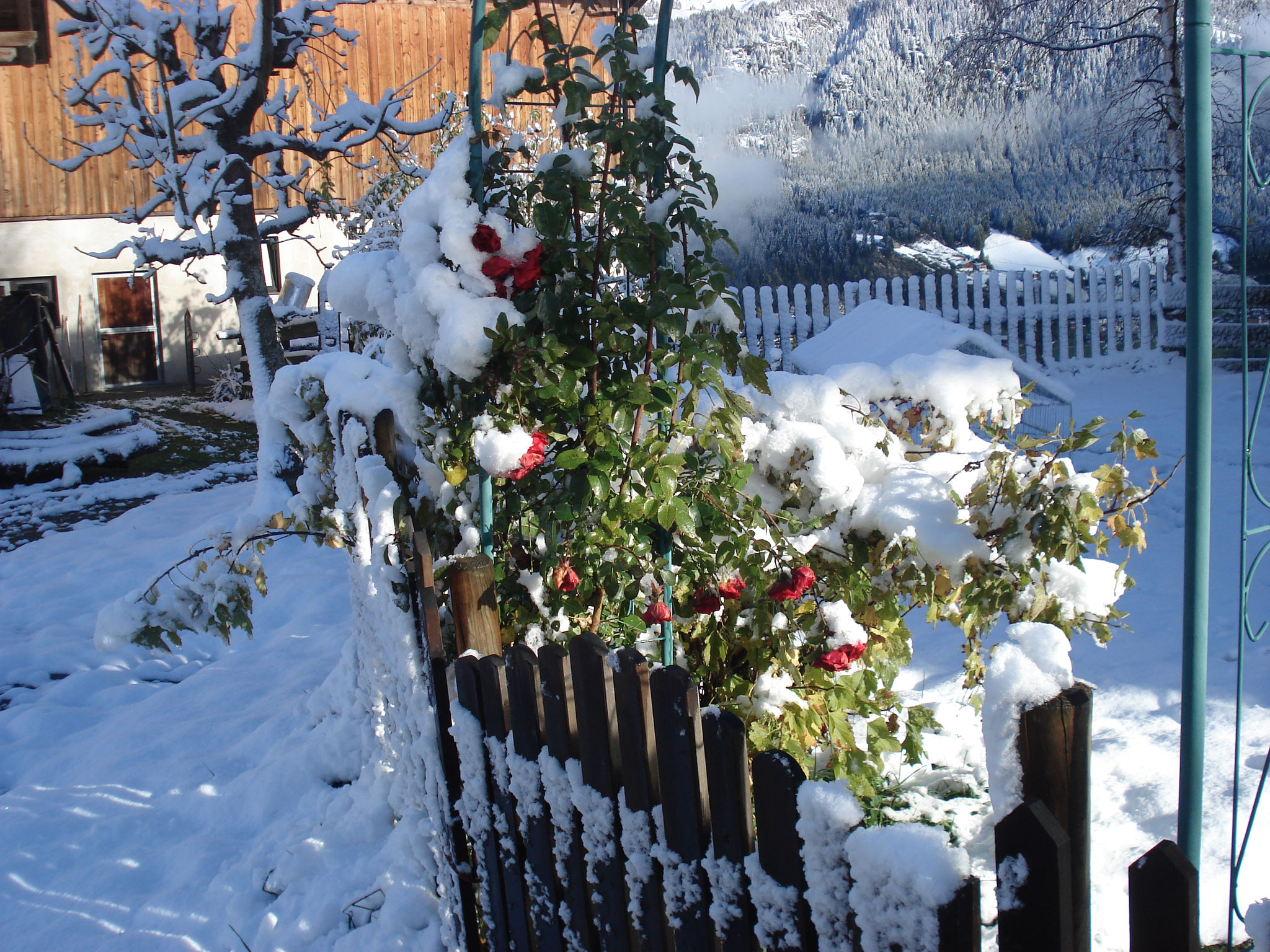 Hier kam der Schnee recht früh