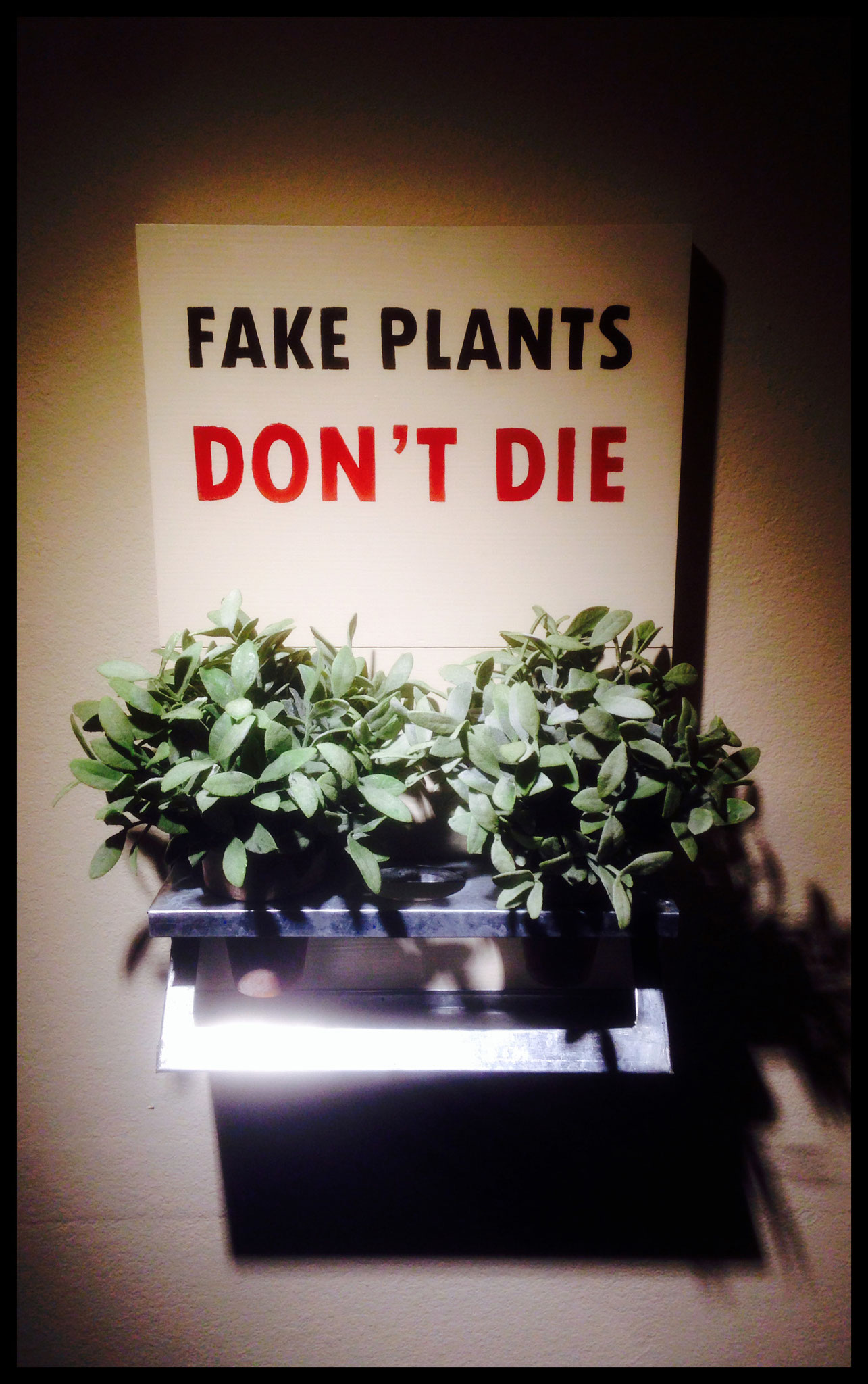 Fake Plants Don't Die
