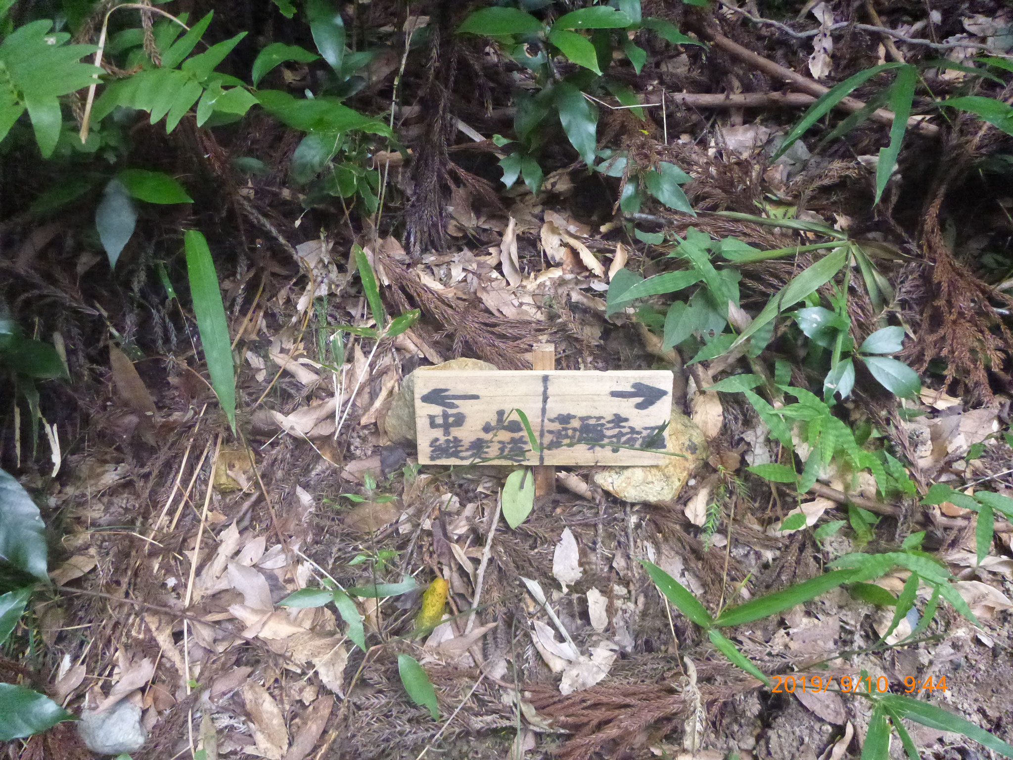 「満願寺西山」を想起して右の道を選択したが