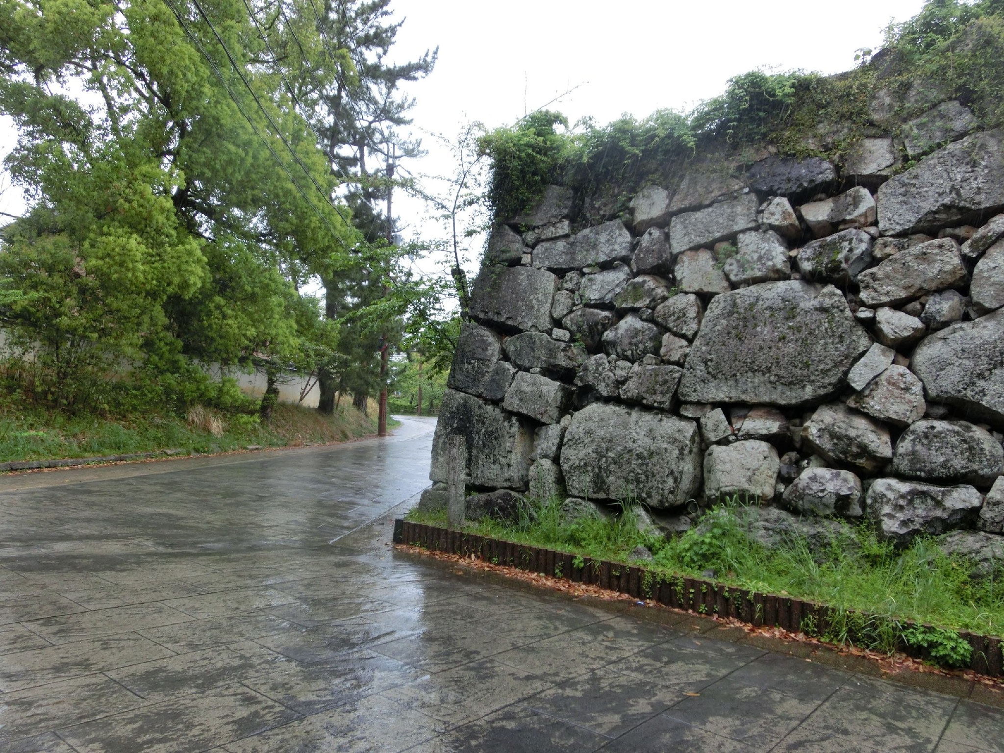 郡山城へやって来ました。