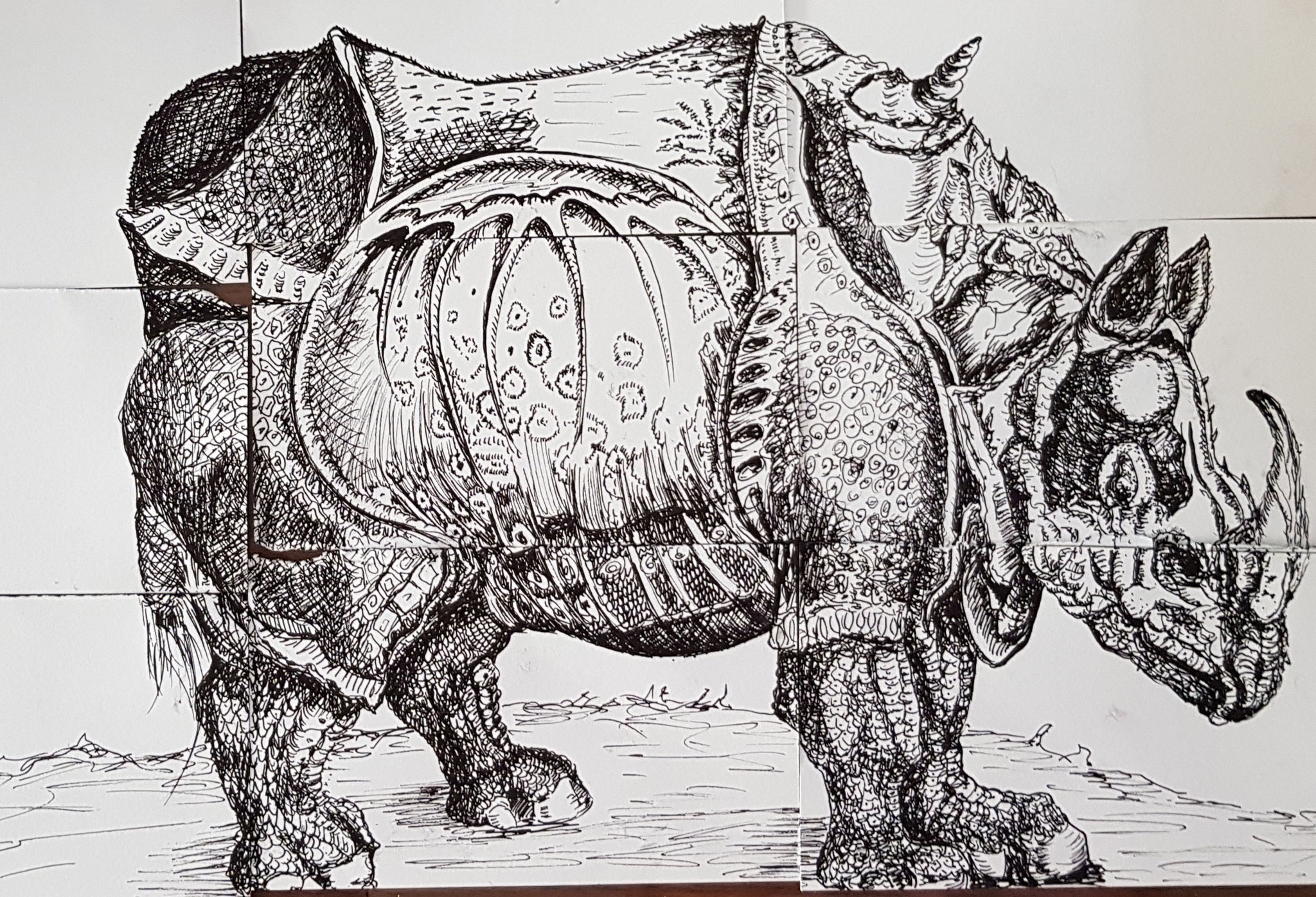 Rhinocero nach Albrecht Dürer_ca. 30x45 cm_Fineliner auf Papier_2018_(in Privatbesitz)