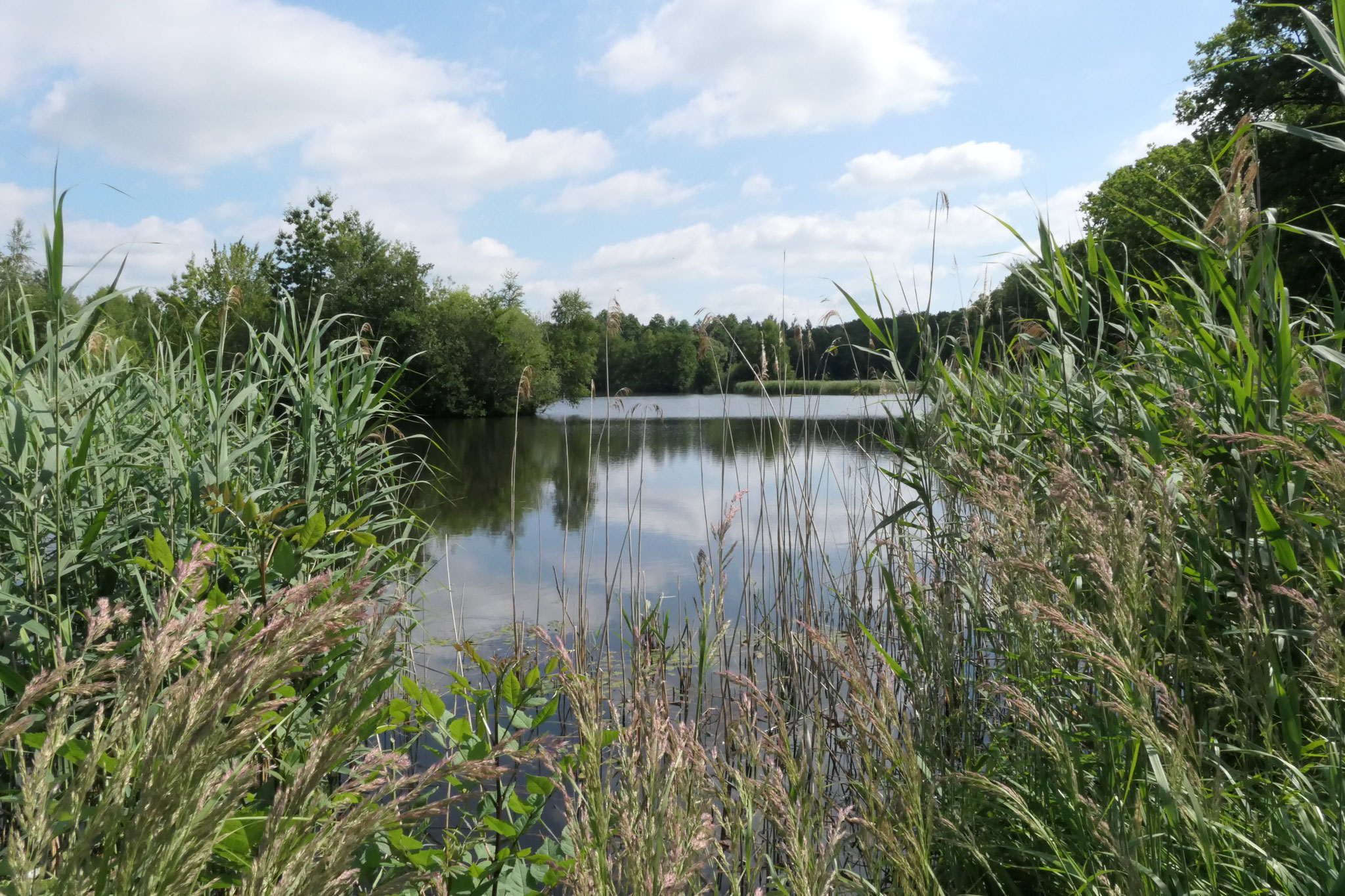 Idylle am See