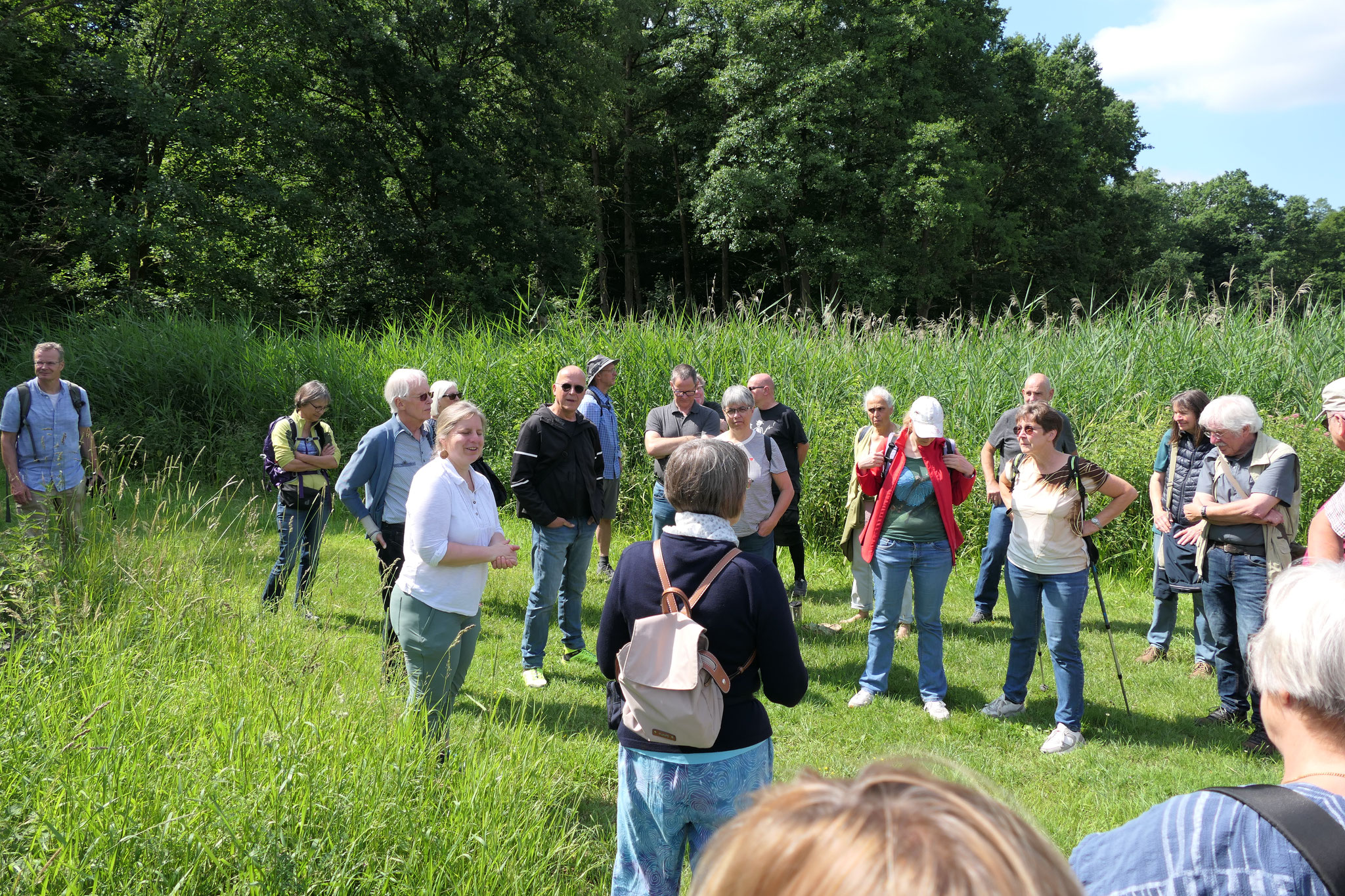 Zwischenstopp auf einer Wiese