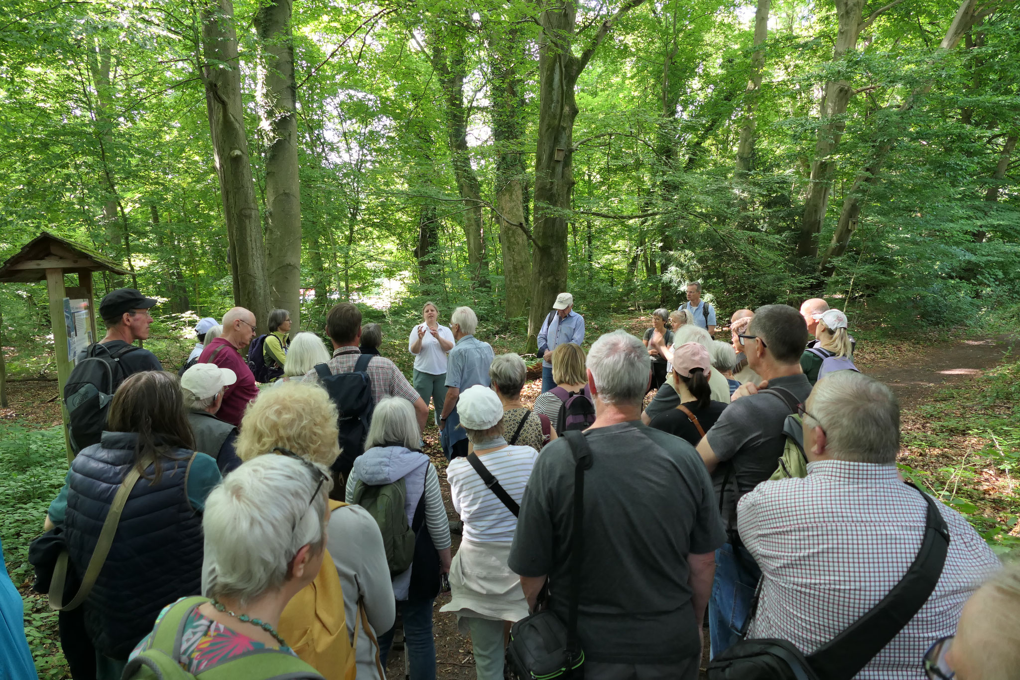 Die Gruppe lauscht dem Vortrag im Wald