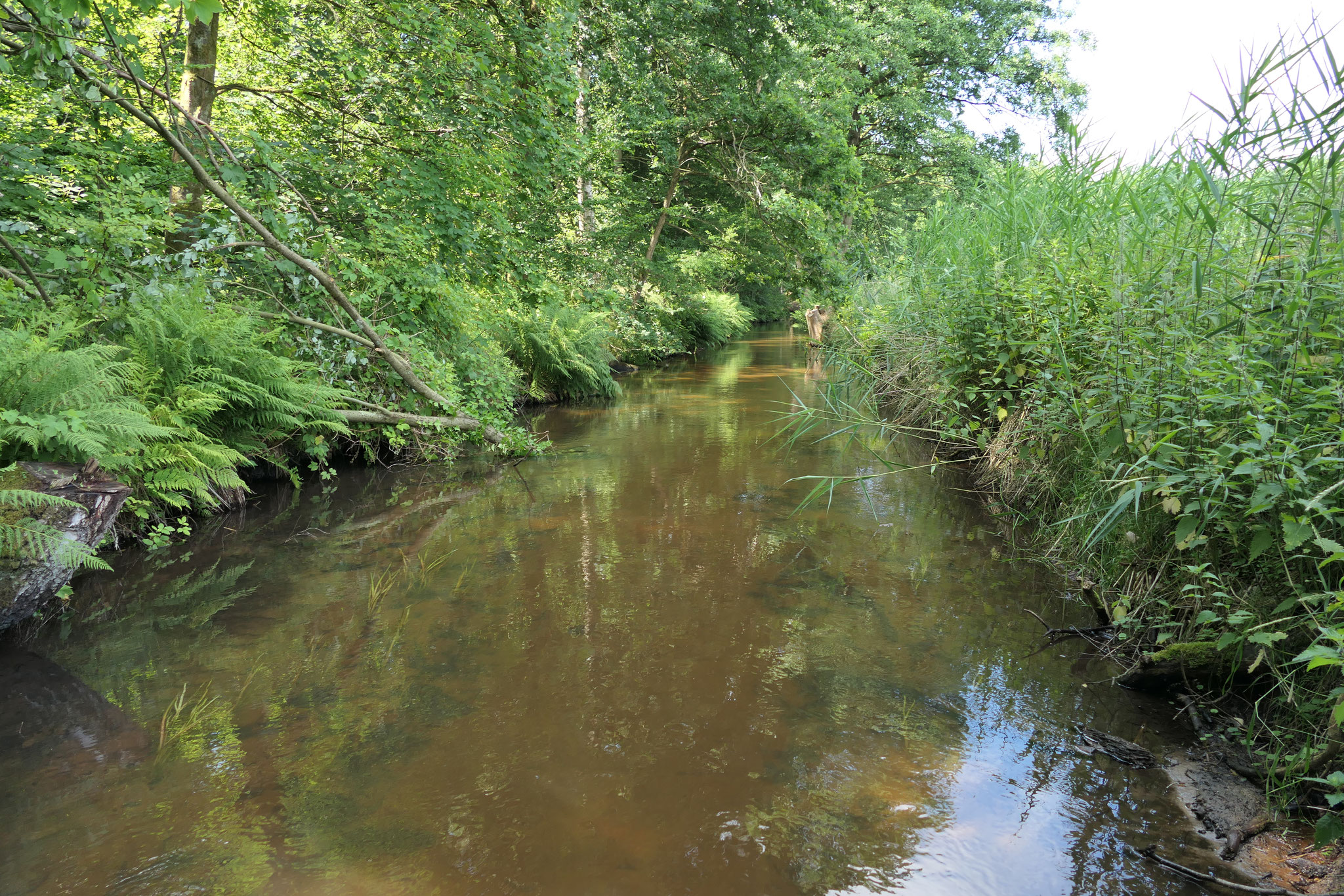 Vielfältige Gewässerlandschaft