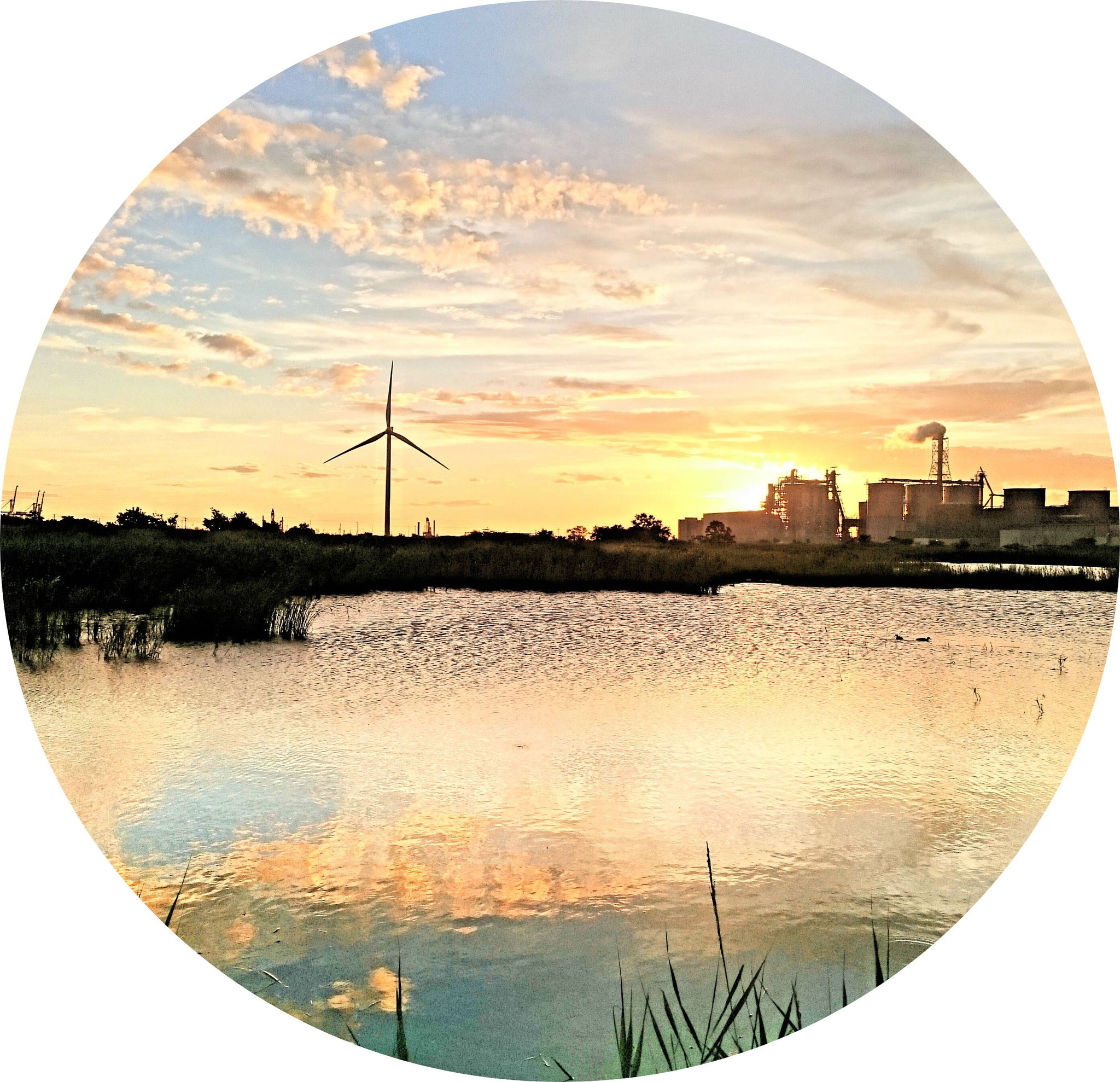 生態系の視点で社会に貢献 - 株式会社エコプラン研究所