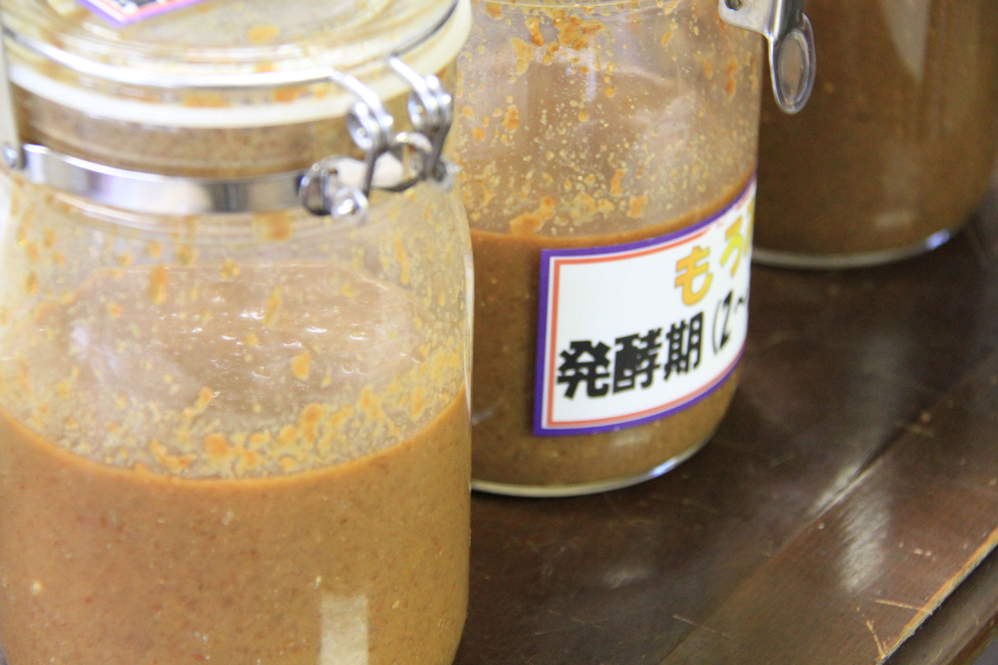 発酵でぷくぷくしている様子も近くで見られます