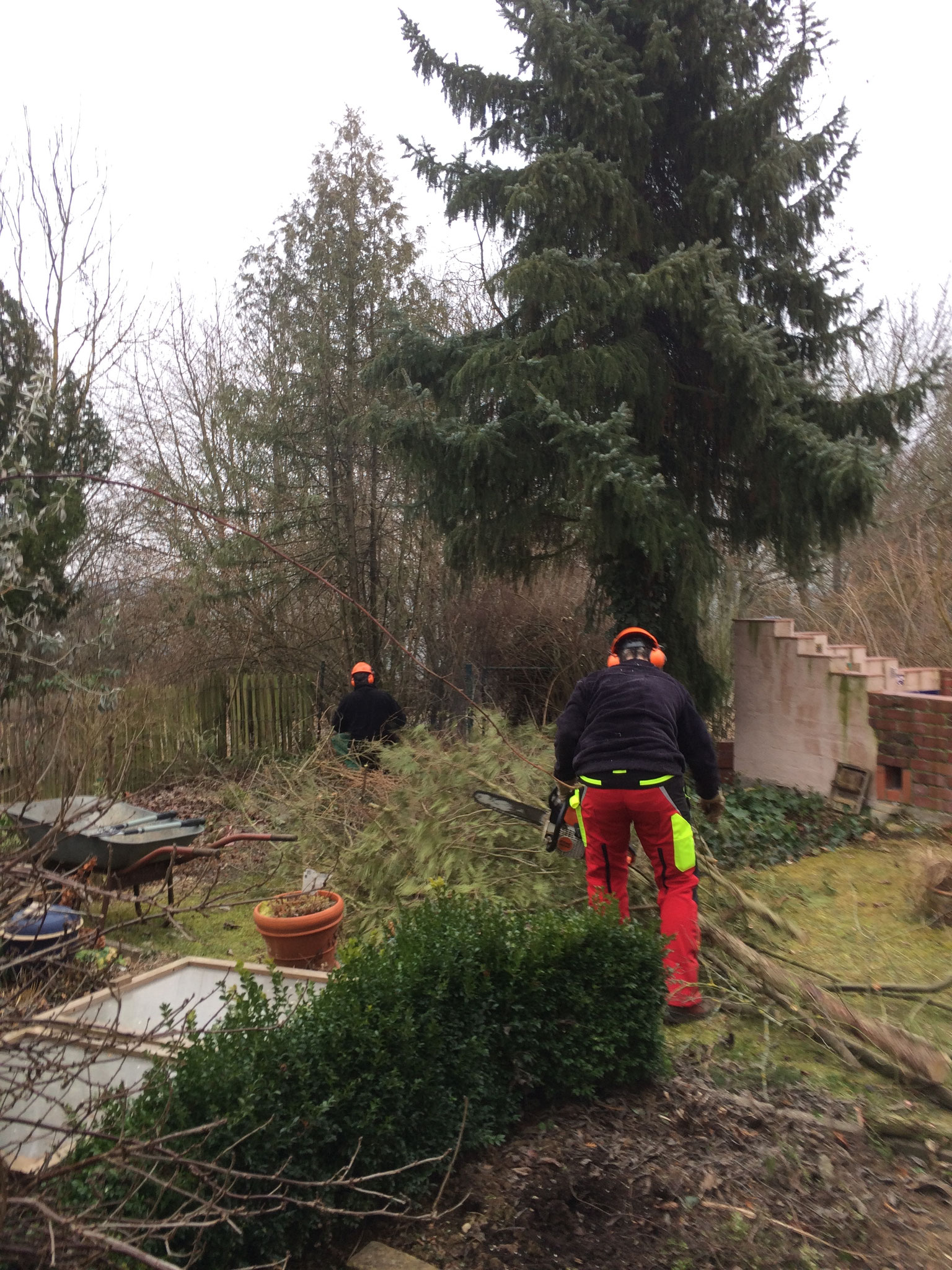 erstmal muß im Garten Platz geschaffen werden