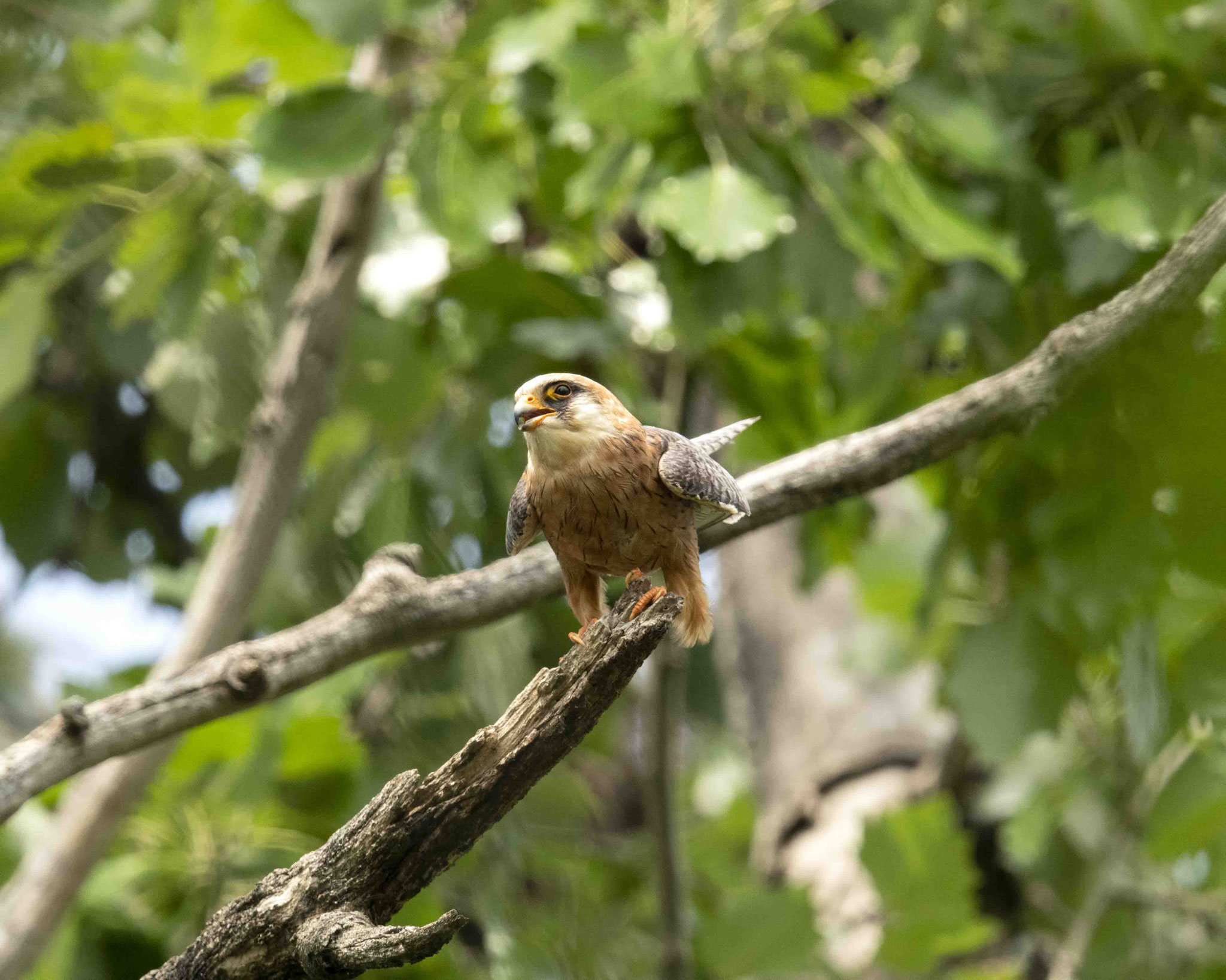 boahhhh - was war denn das...... :-)