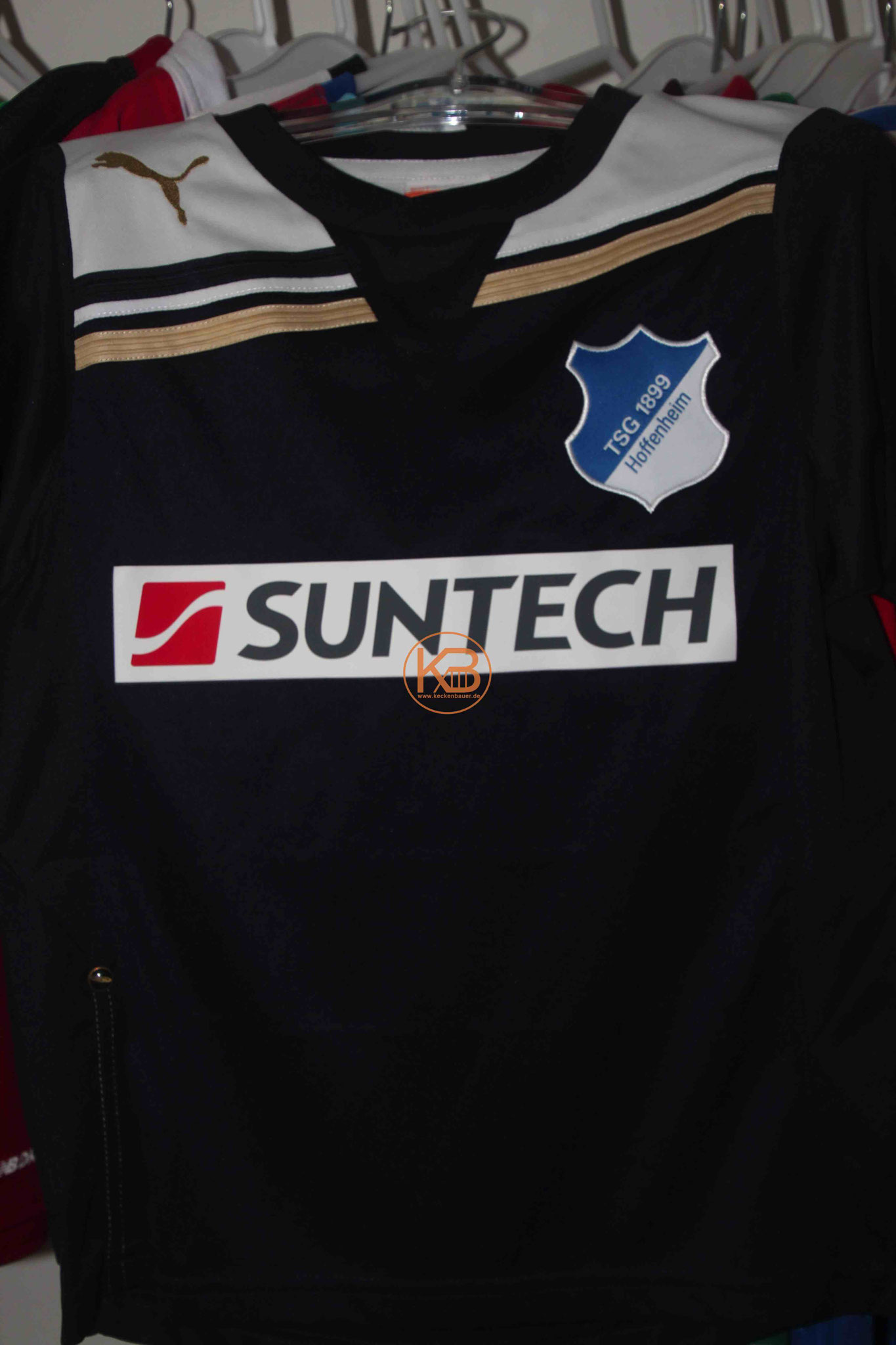 Puma Trikot der TSG Hoffenheim